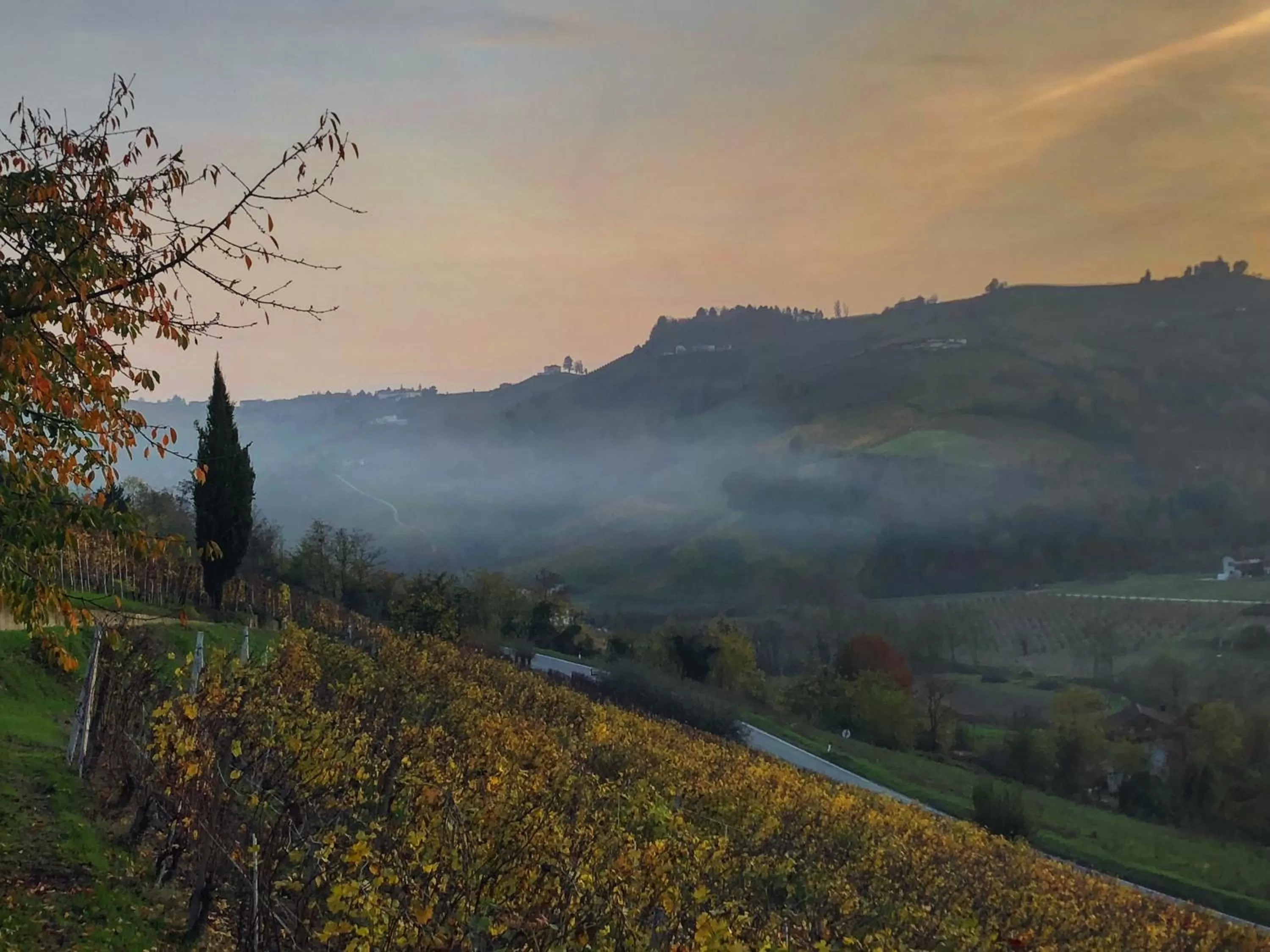 Garden view in Panoramic Villa Garassino - country rooms and fine restaurant