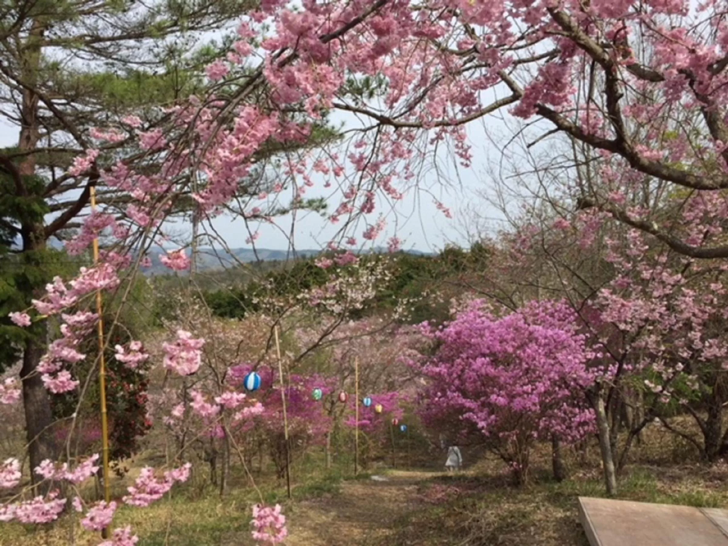 Nearby landmark in Okayama Koraku Hotel