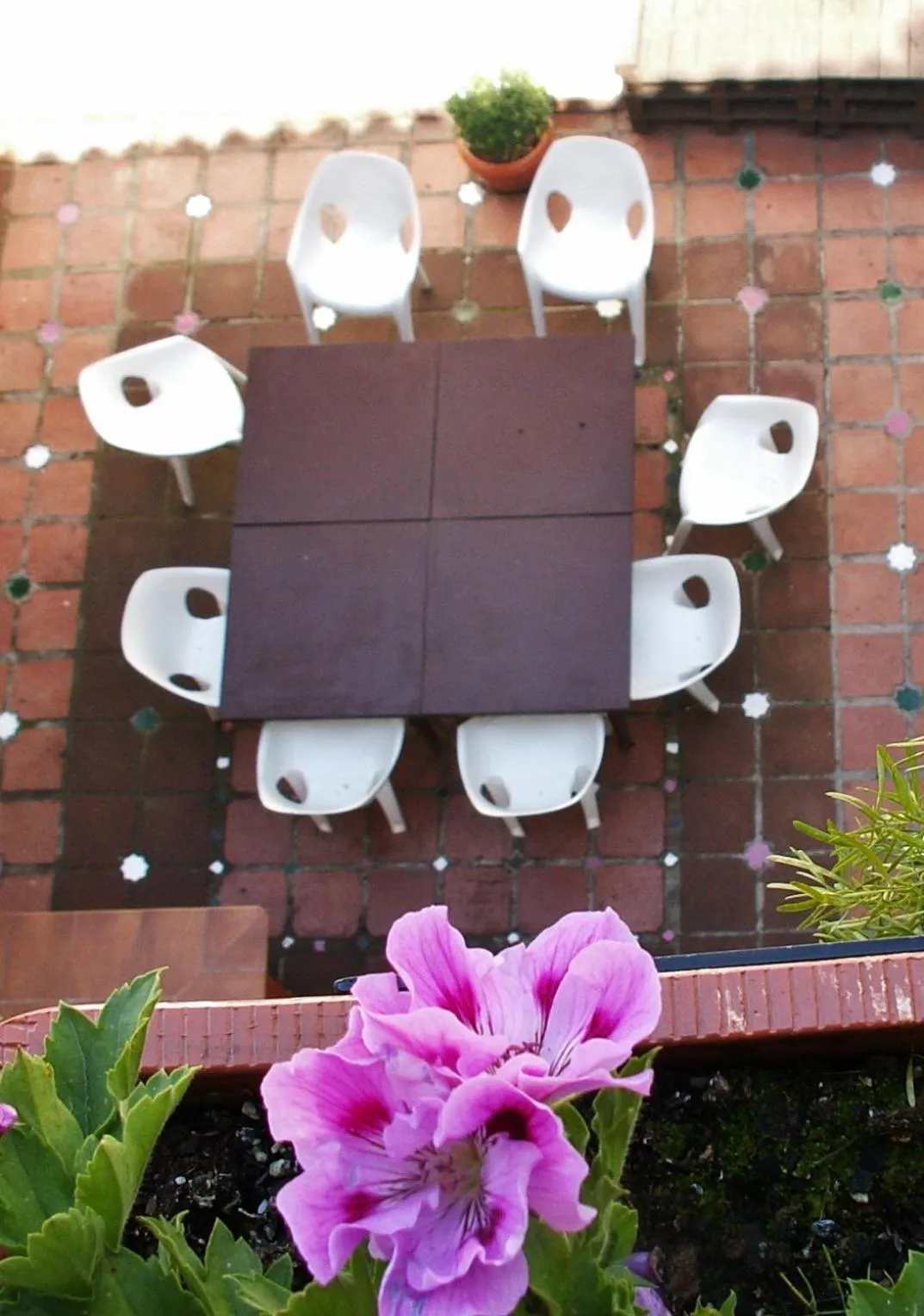 Garden in Oasis Backpackers' Hostel Granada