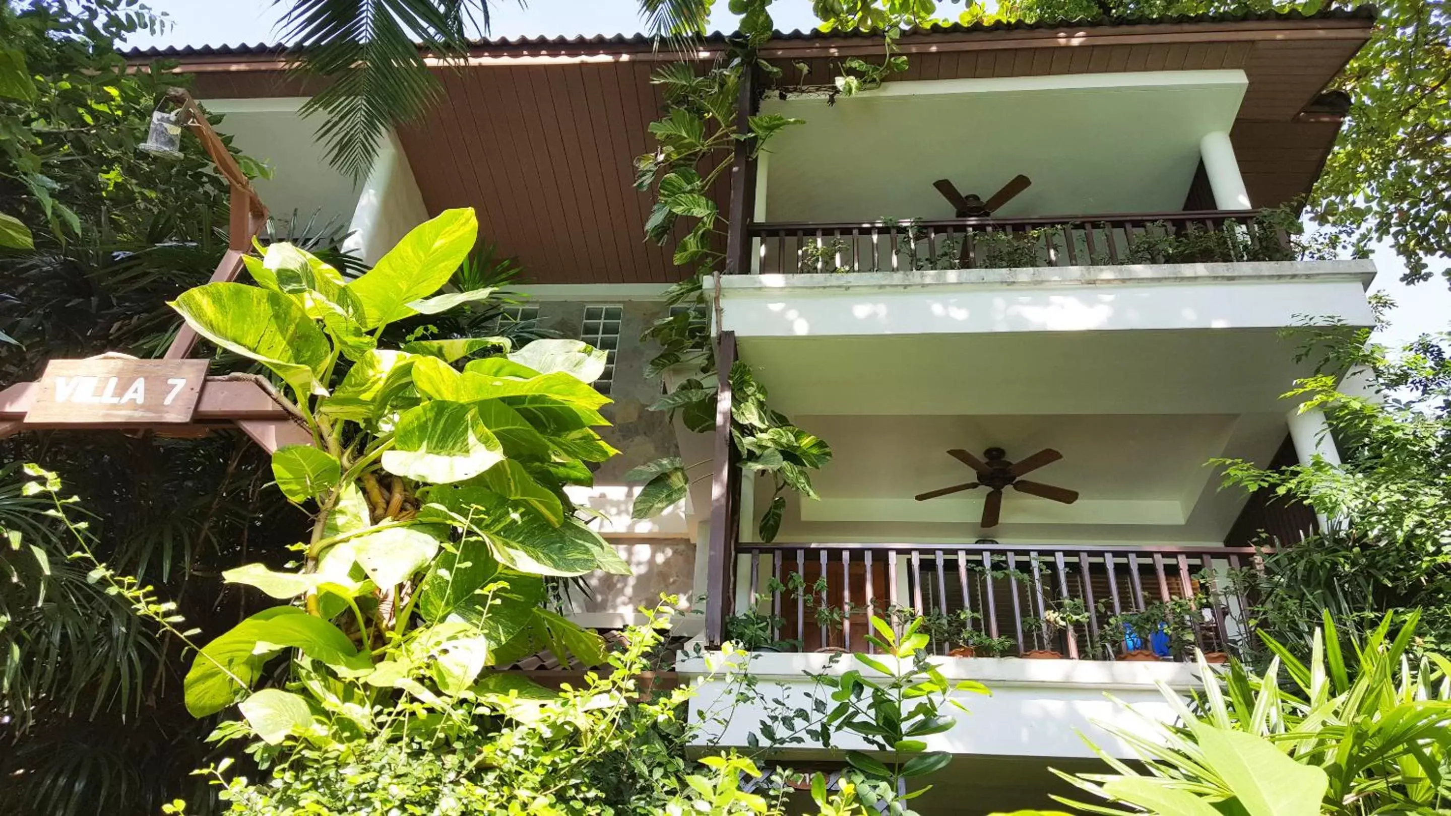 Patio in Birds and Bees Resort