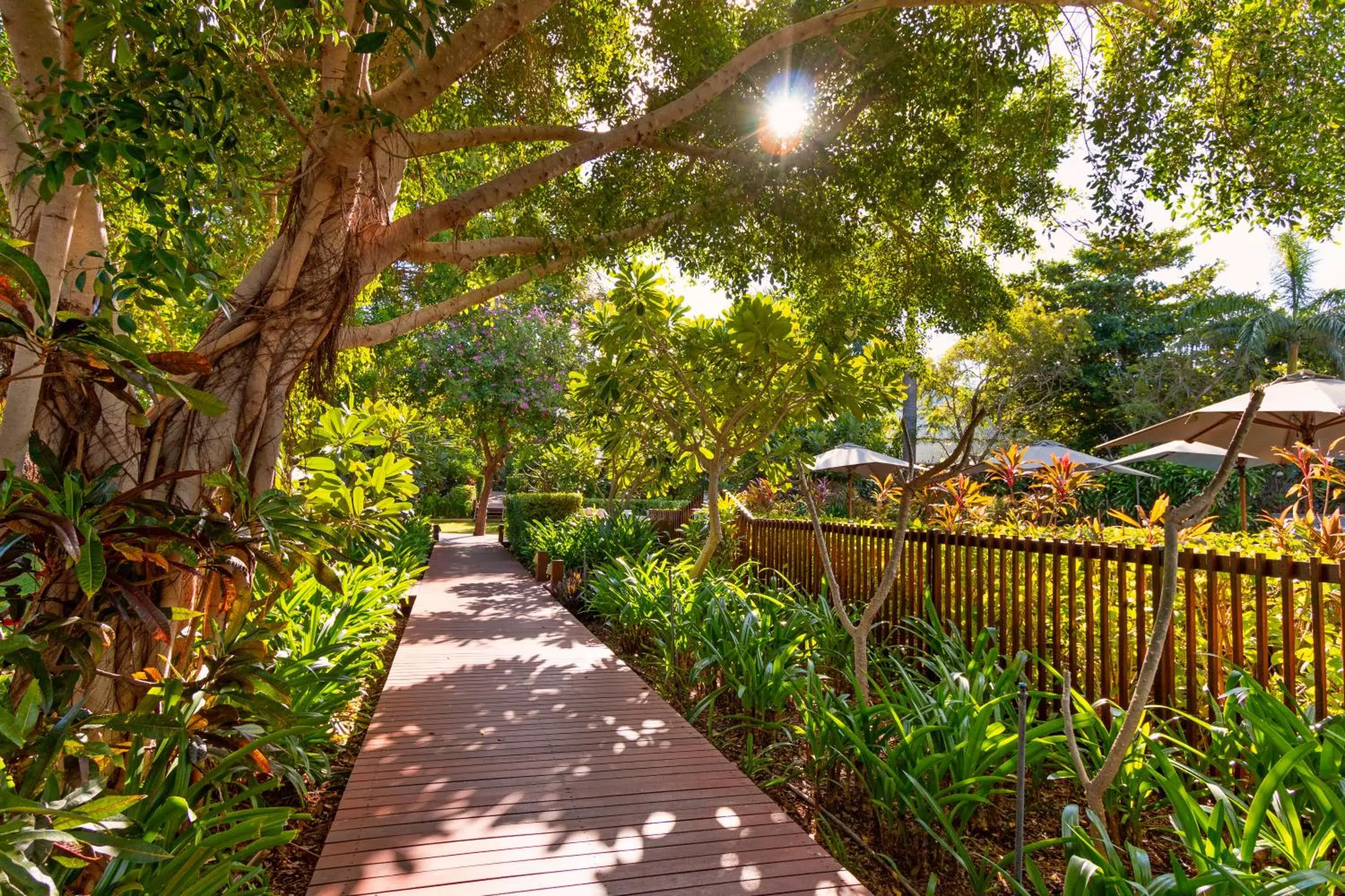 Garden in The Billi Resort