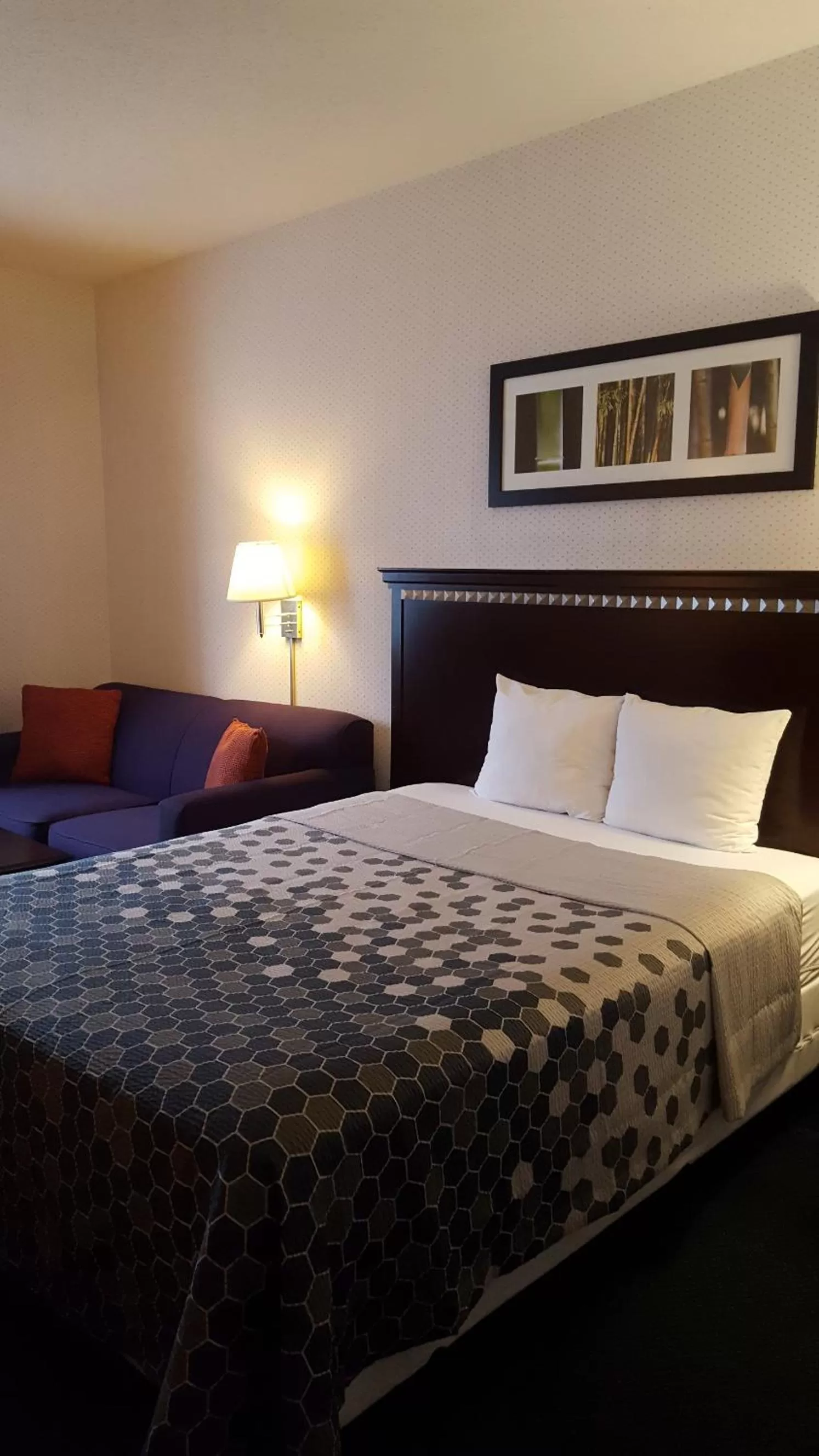 Bed in Rodeway Inn Urbana Champaign University Area