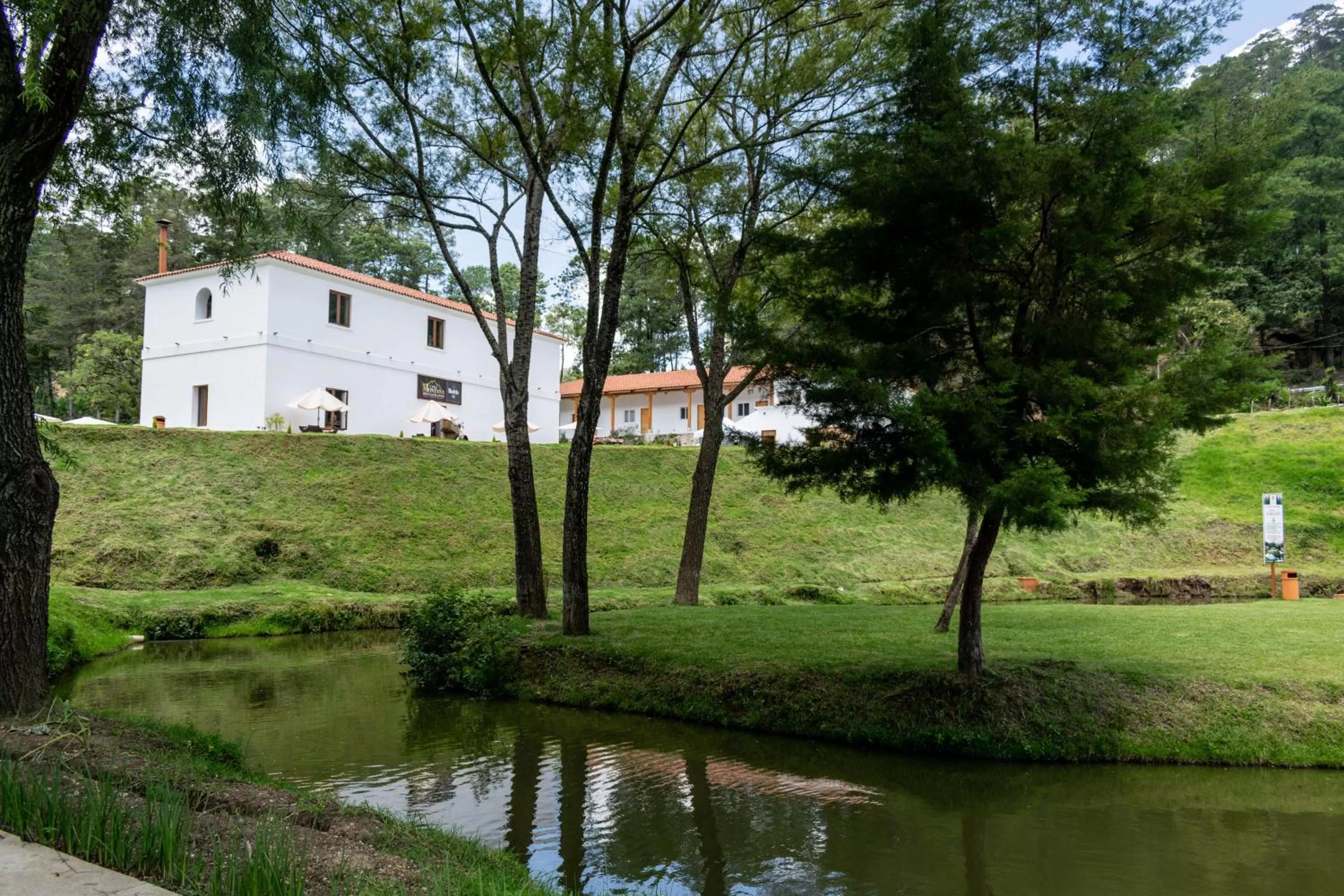 Natural landscape in Casa Montana Hotel