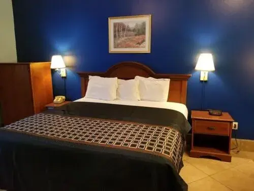 Bed in Texas Inn and Suites RGV