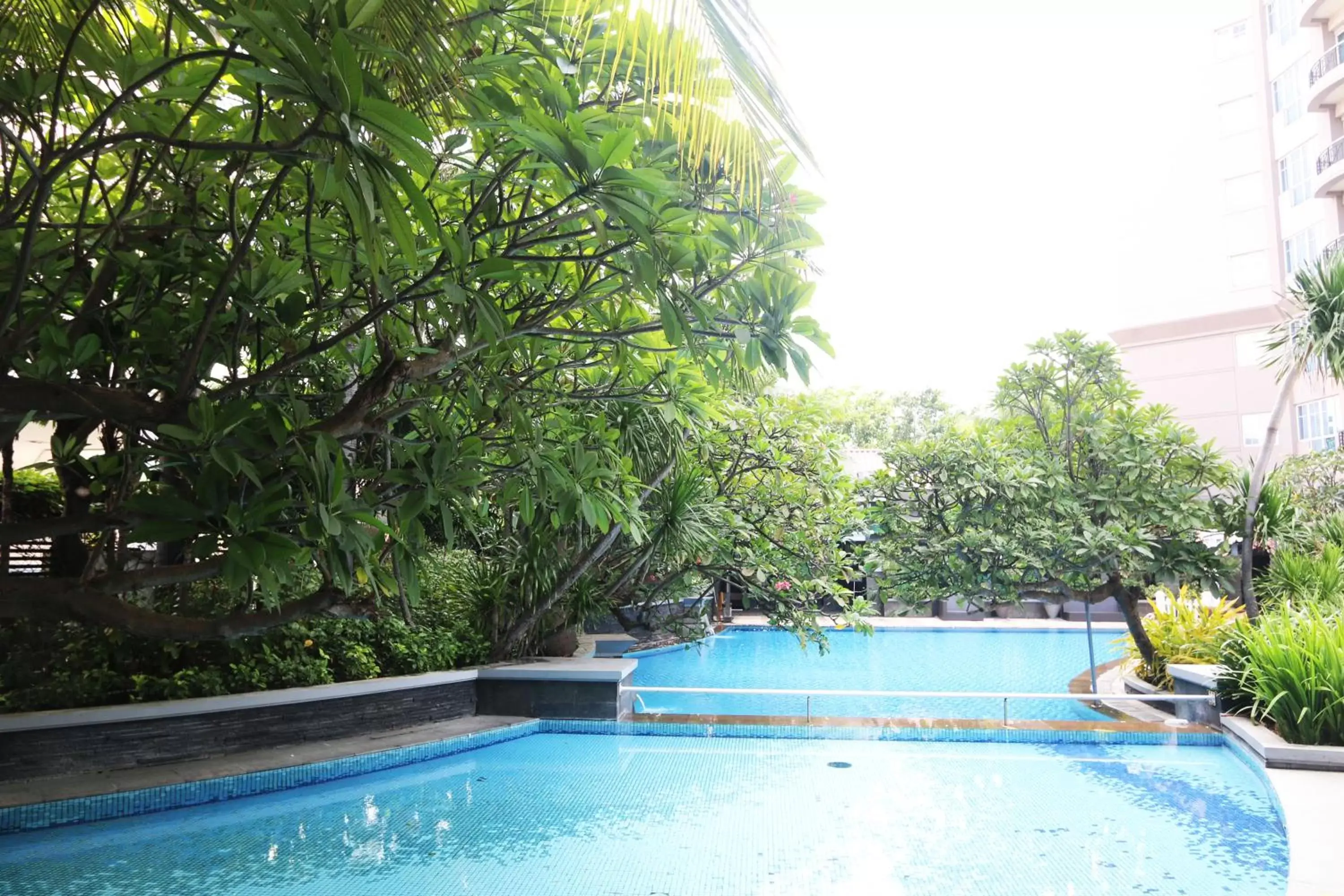 Swimming pool in Java Paragon Hotel & Residences Swimming pool in Java Paragon Hotel & Residences