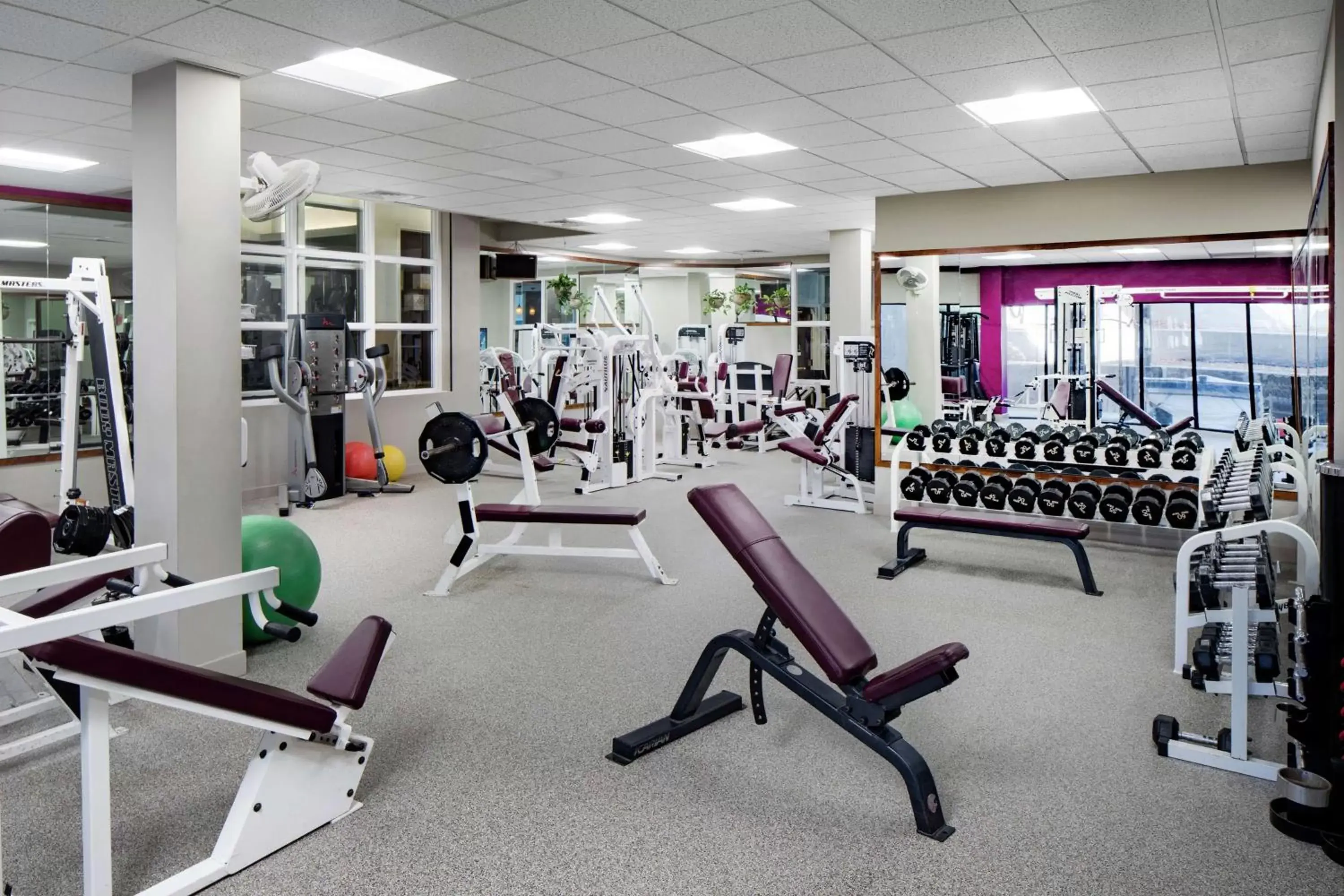 Fitness centre/facilities, Fitness Center/Facilities in DoubleTree by Hilton Nashua