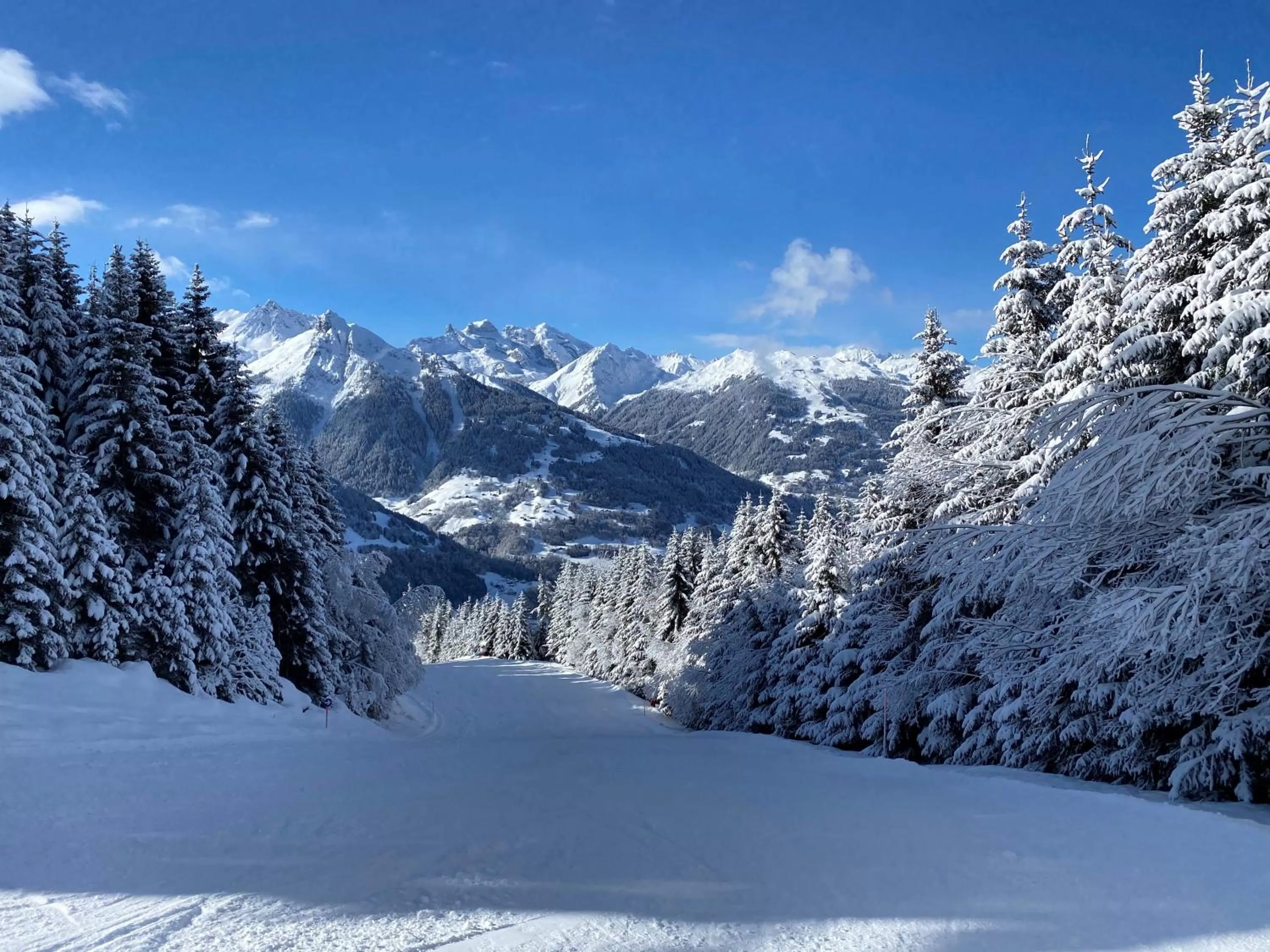 Skiing in Relax & Vitalhotel Adler