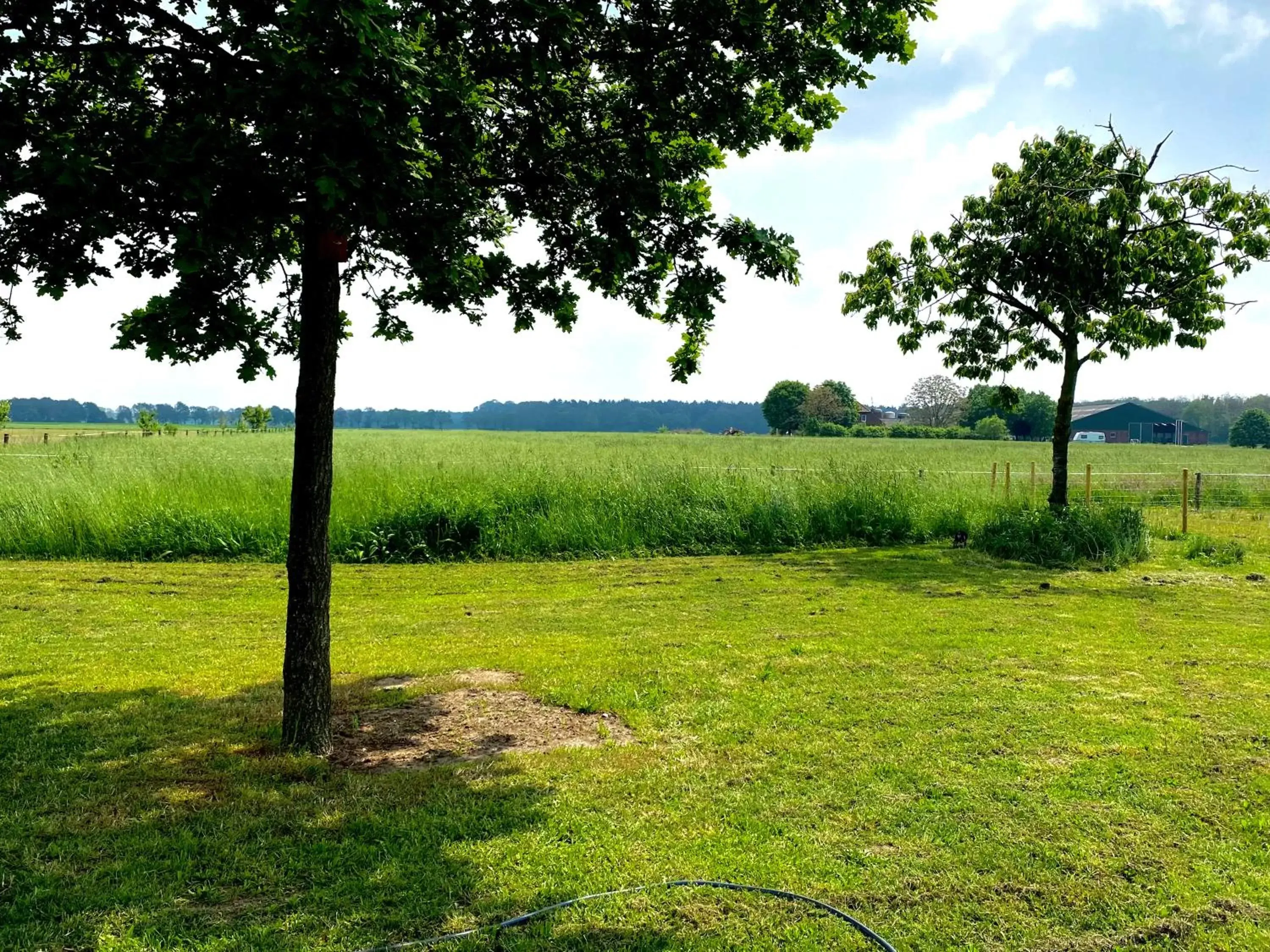 Spring, Garden in De Heeren Hoeve Carpe Diem