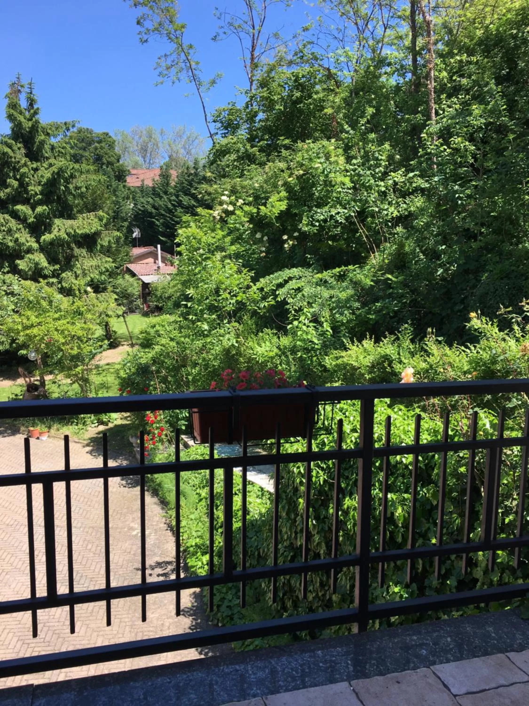 Rossella alla Villarella dei Tulipani