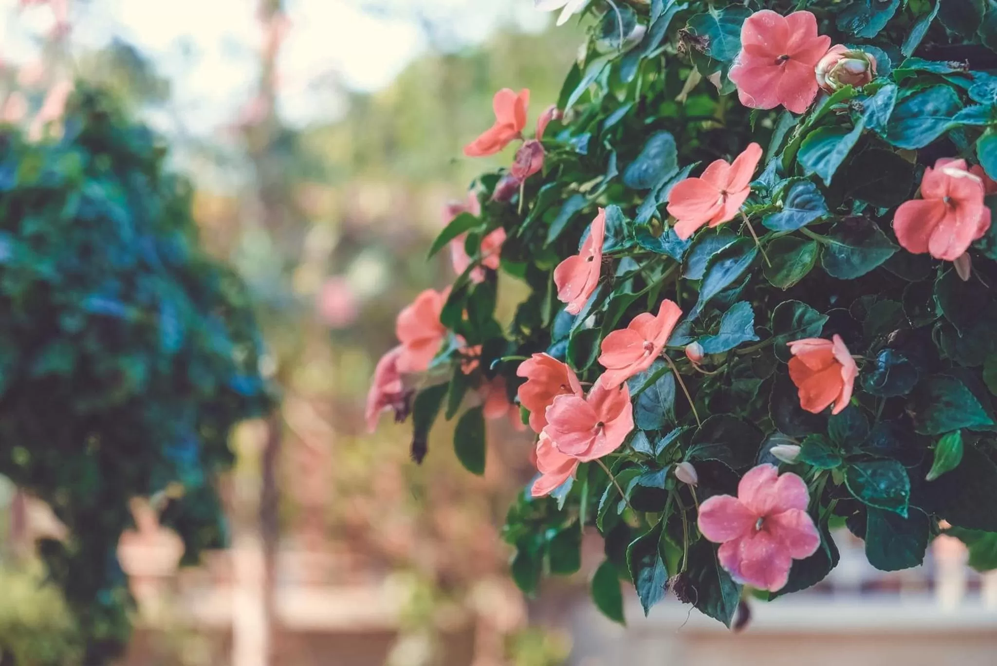 Riverside House Hotel