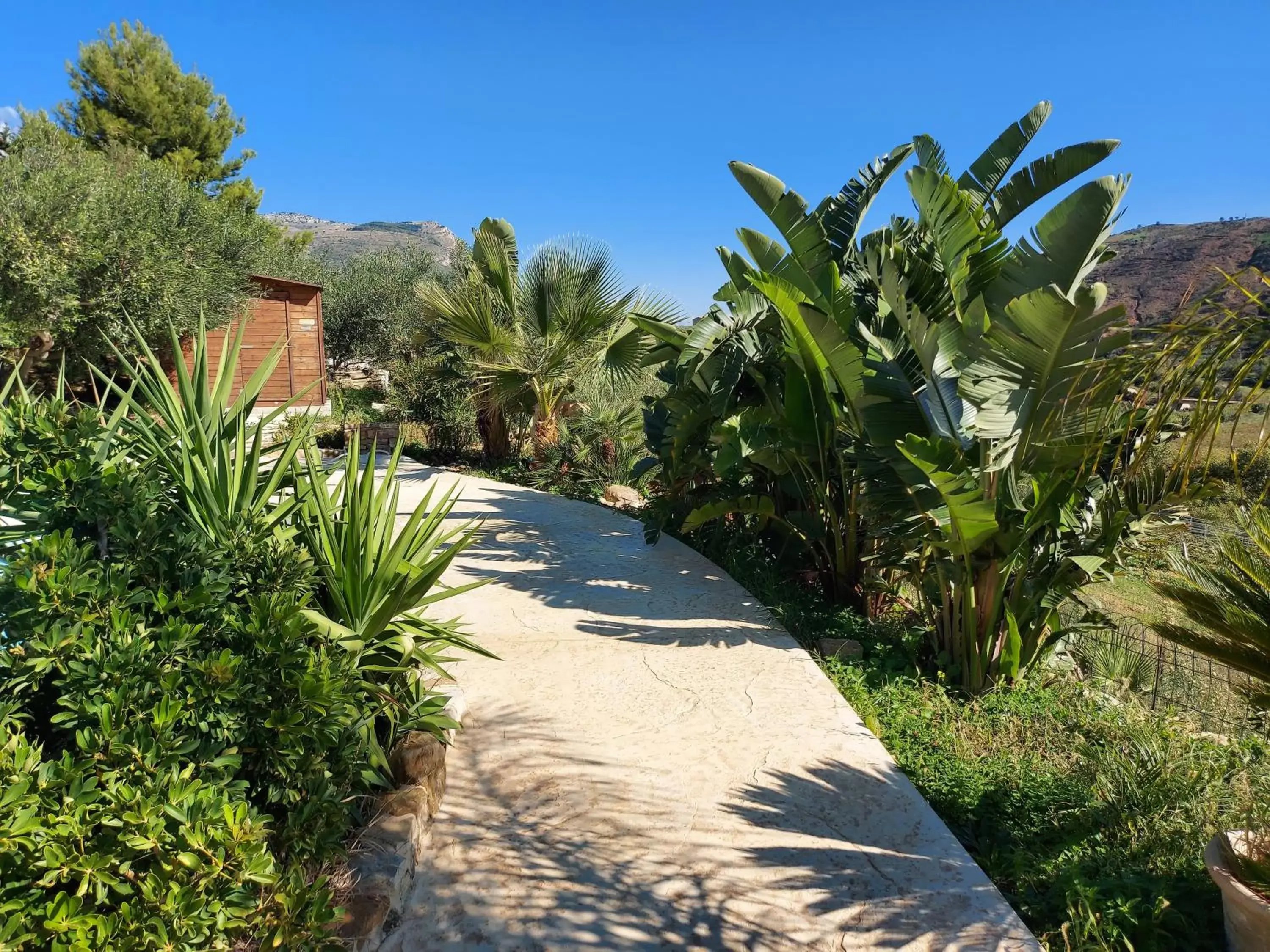 Natural landscape in La Suite Di Segesta