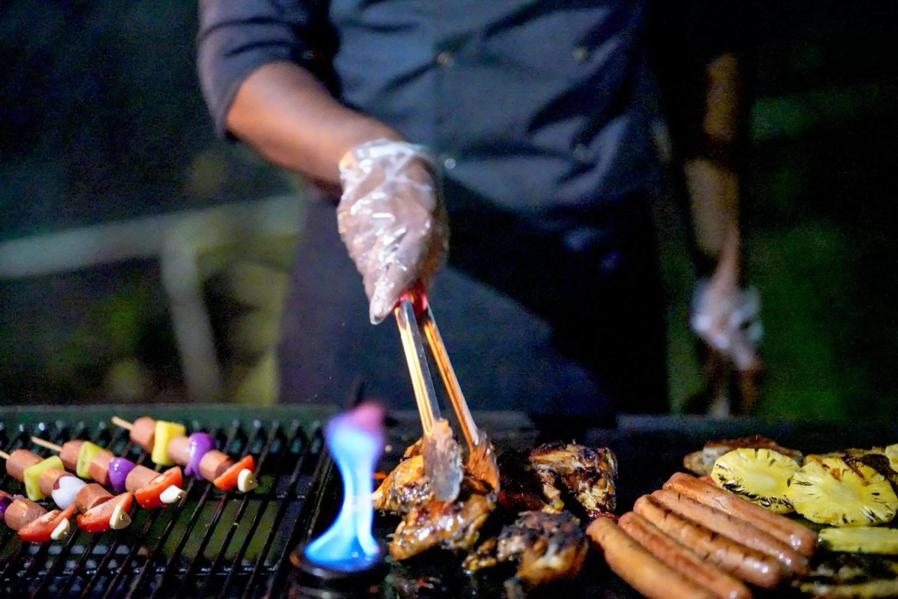 Other Animals in Sigiriya Kingdom Gate Dambulla