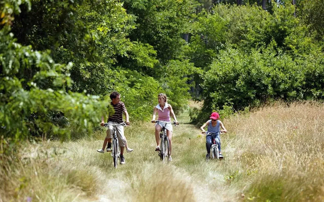 Activities, Horseback Riding in L'Auberge du Mazet