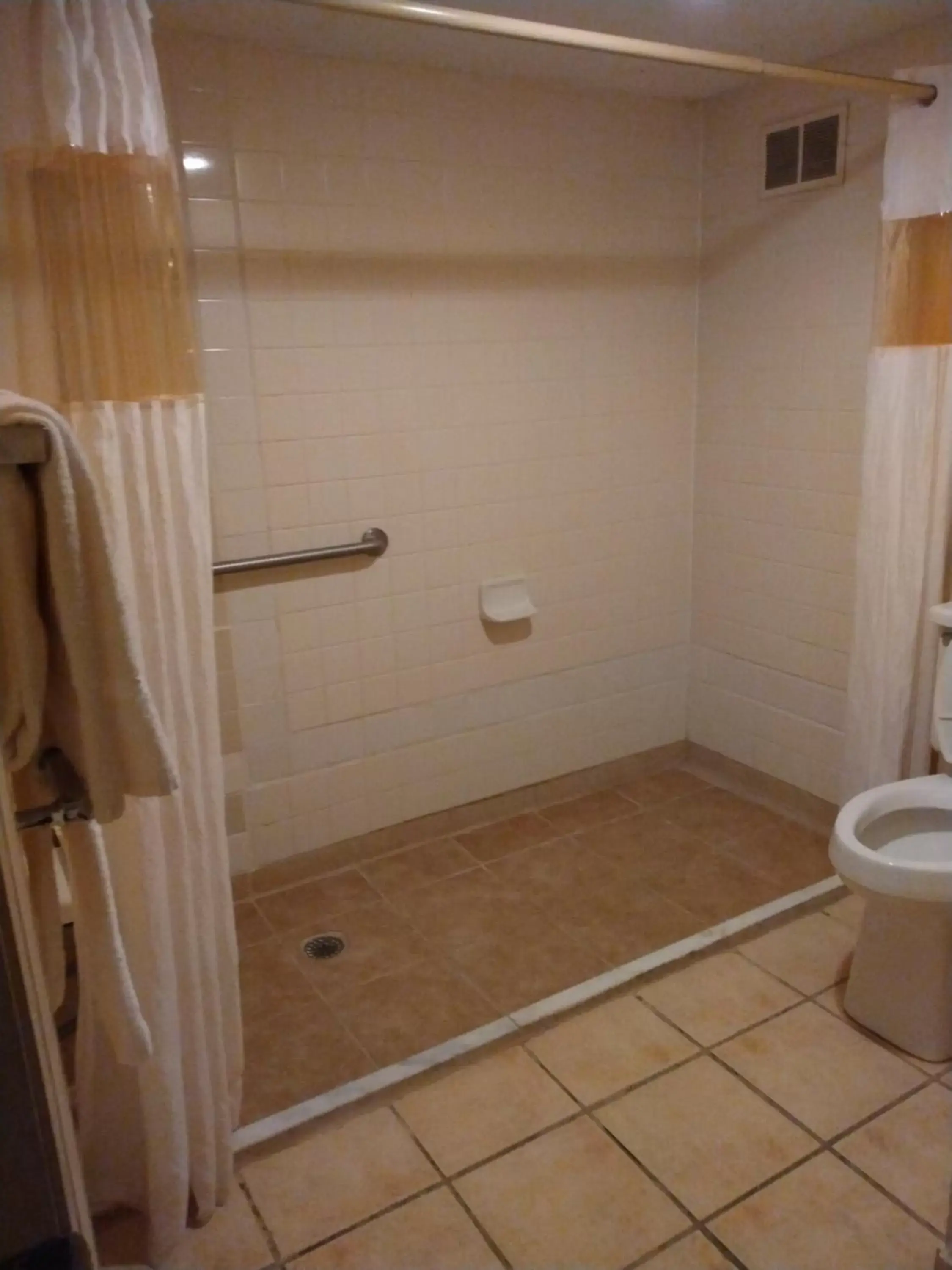 King Room - Accessible/Non Smoking in Rodeway Inn Cleveland TN I-75 King Room - Accessible/Non Smoking in Rodeway Inn Cleveland TN I-75