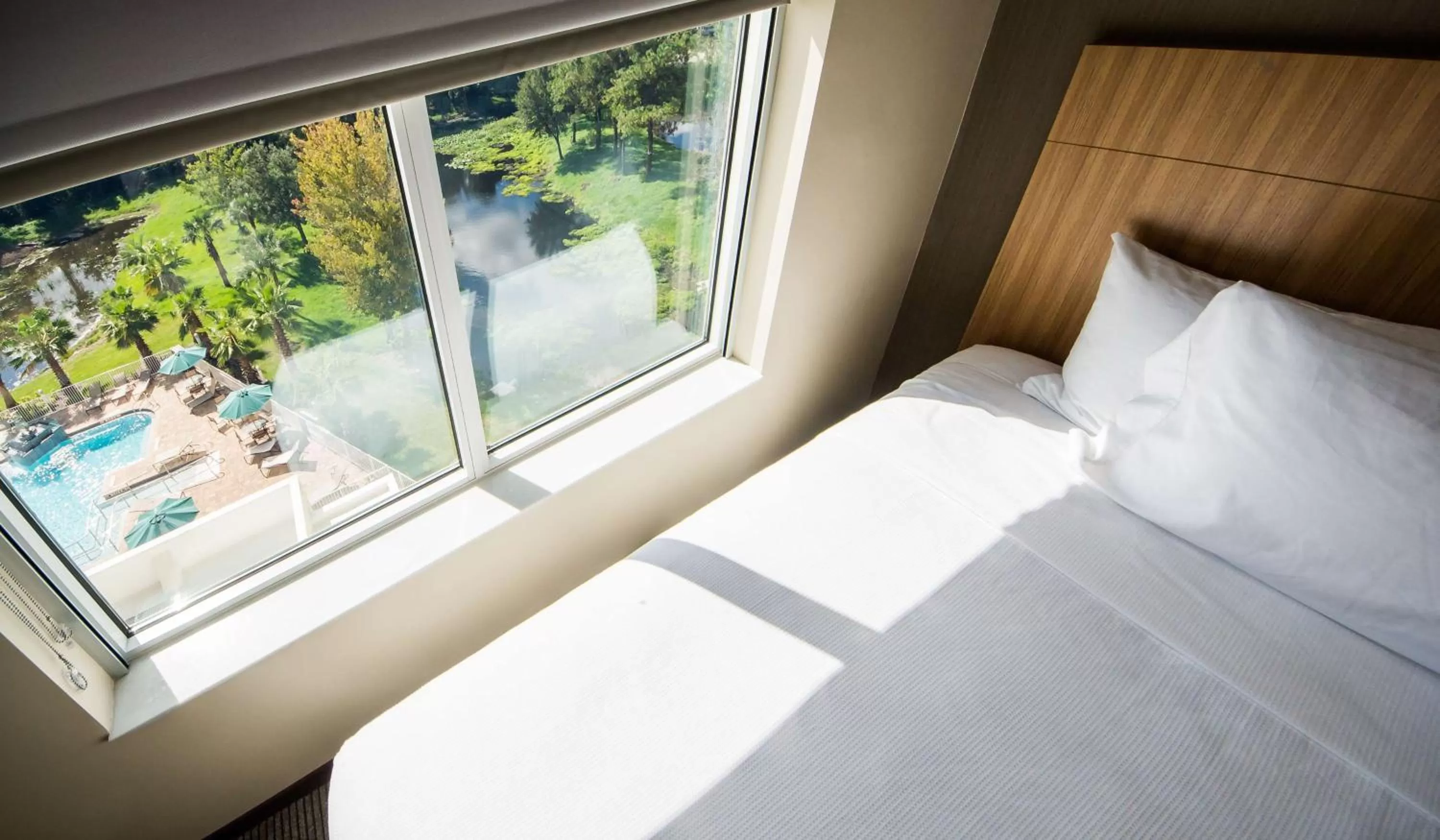 Photo of the whole room, Bed in Hyatt Place Orlando/Lake Buena Vista