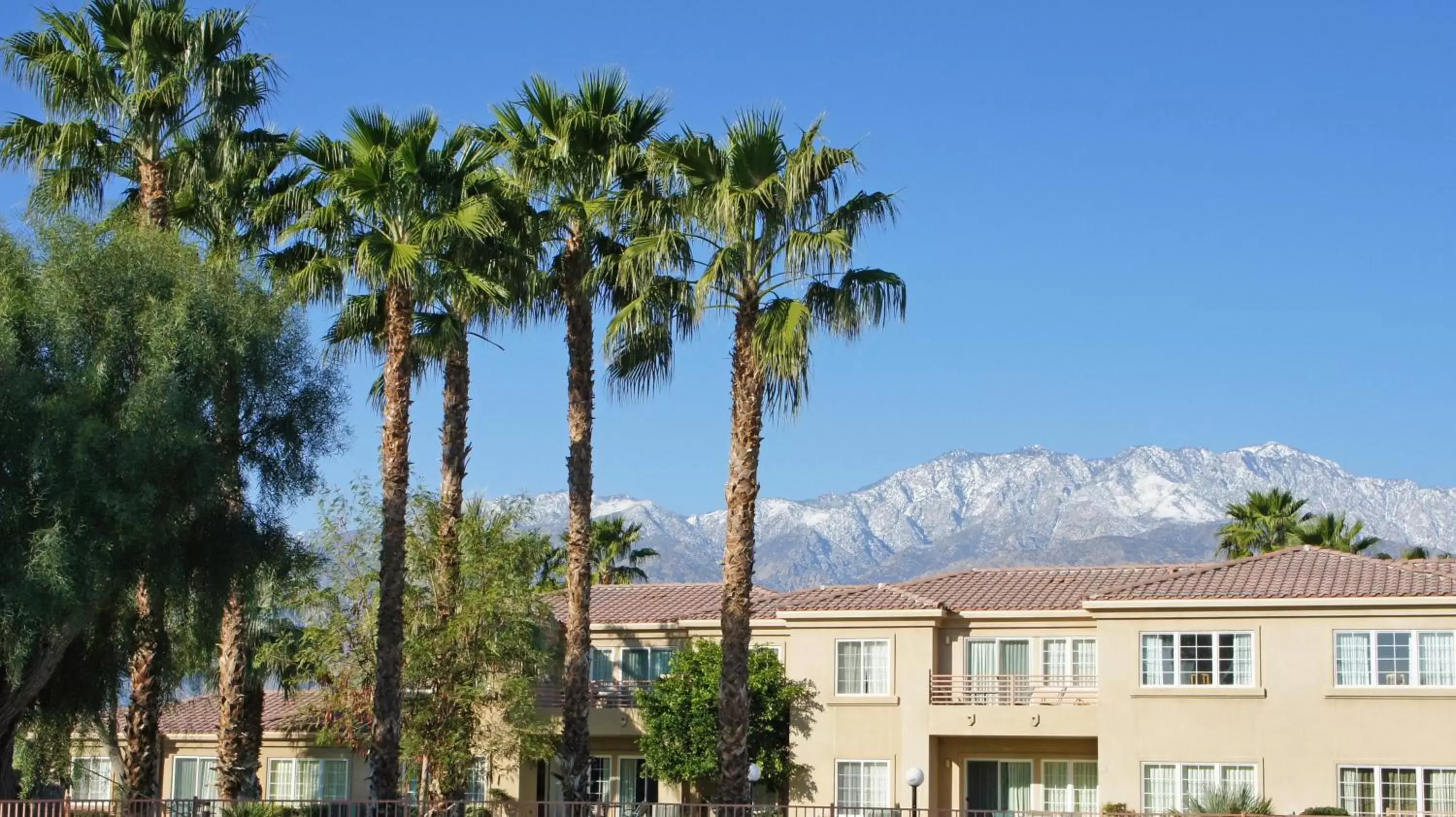 Mountain view in Raintree's Cimarron Golf Resort Palm Springs