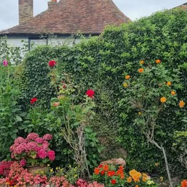 Garden in Kings Arms Hotel
