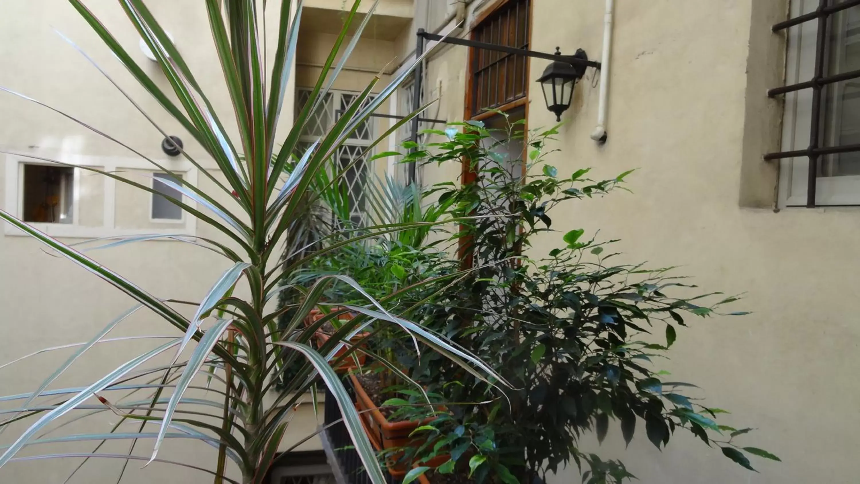 Garden view in La Maison Dell'Orologio