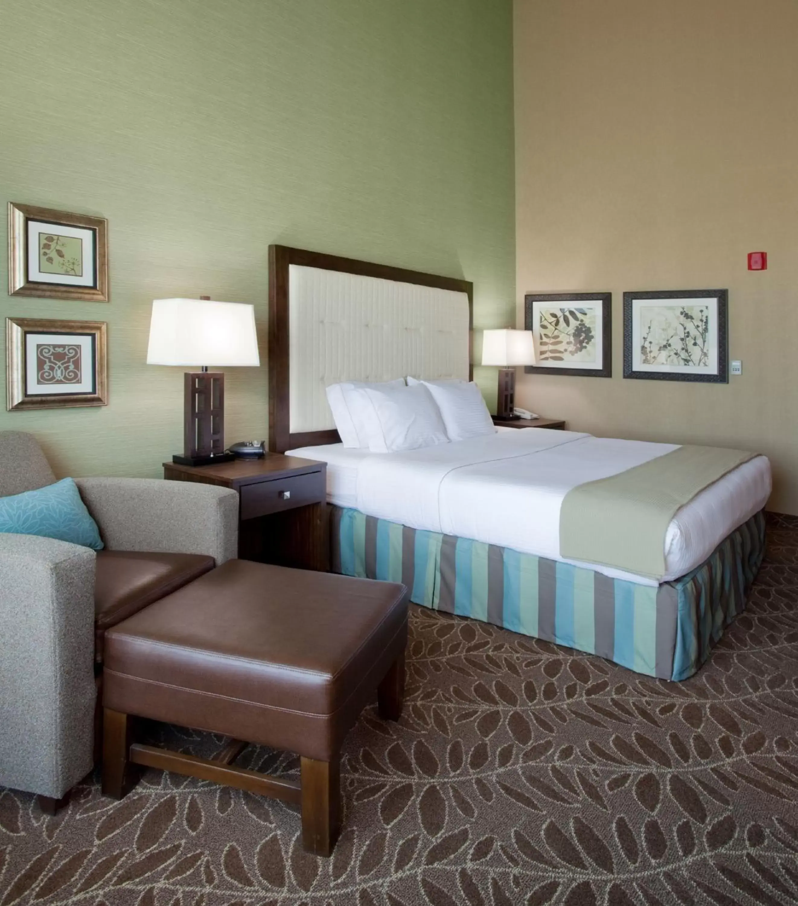 Photo of the whole room, Bed in Holiday Inn Express & Suites Logan, an IHG Hotel