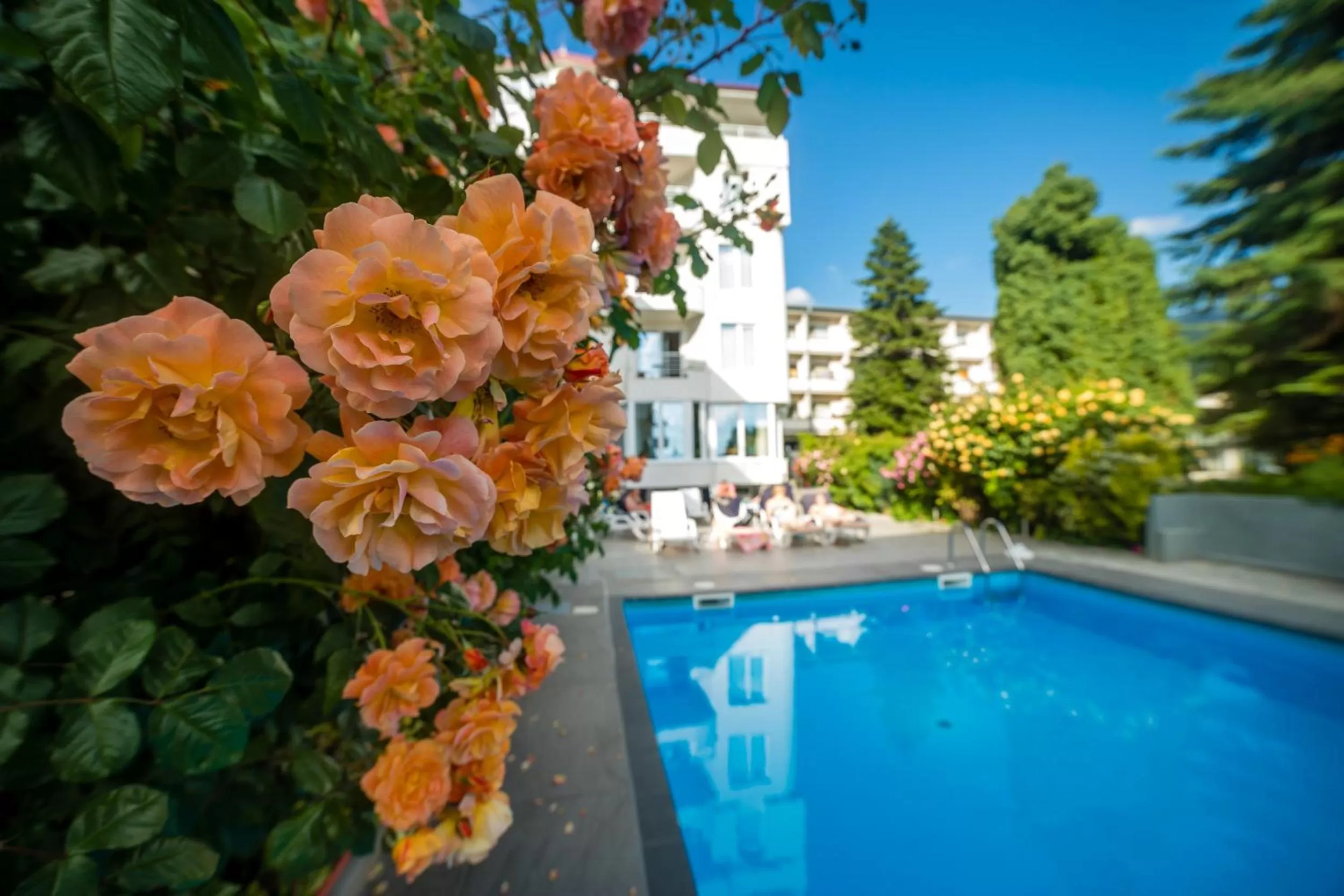 Property building in Villa Jordan