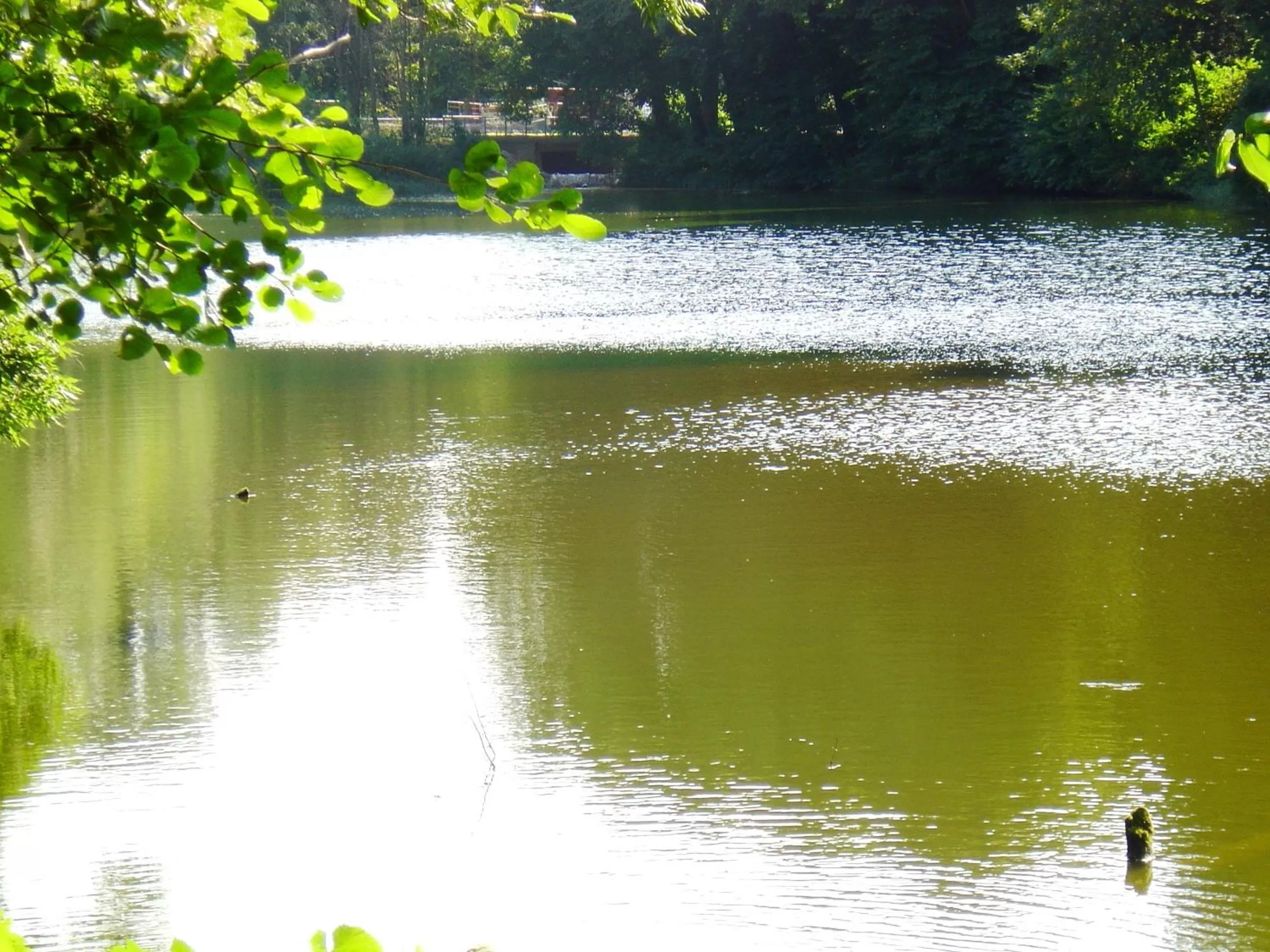 Facade/entrance in Carmina am See