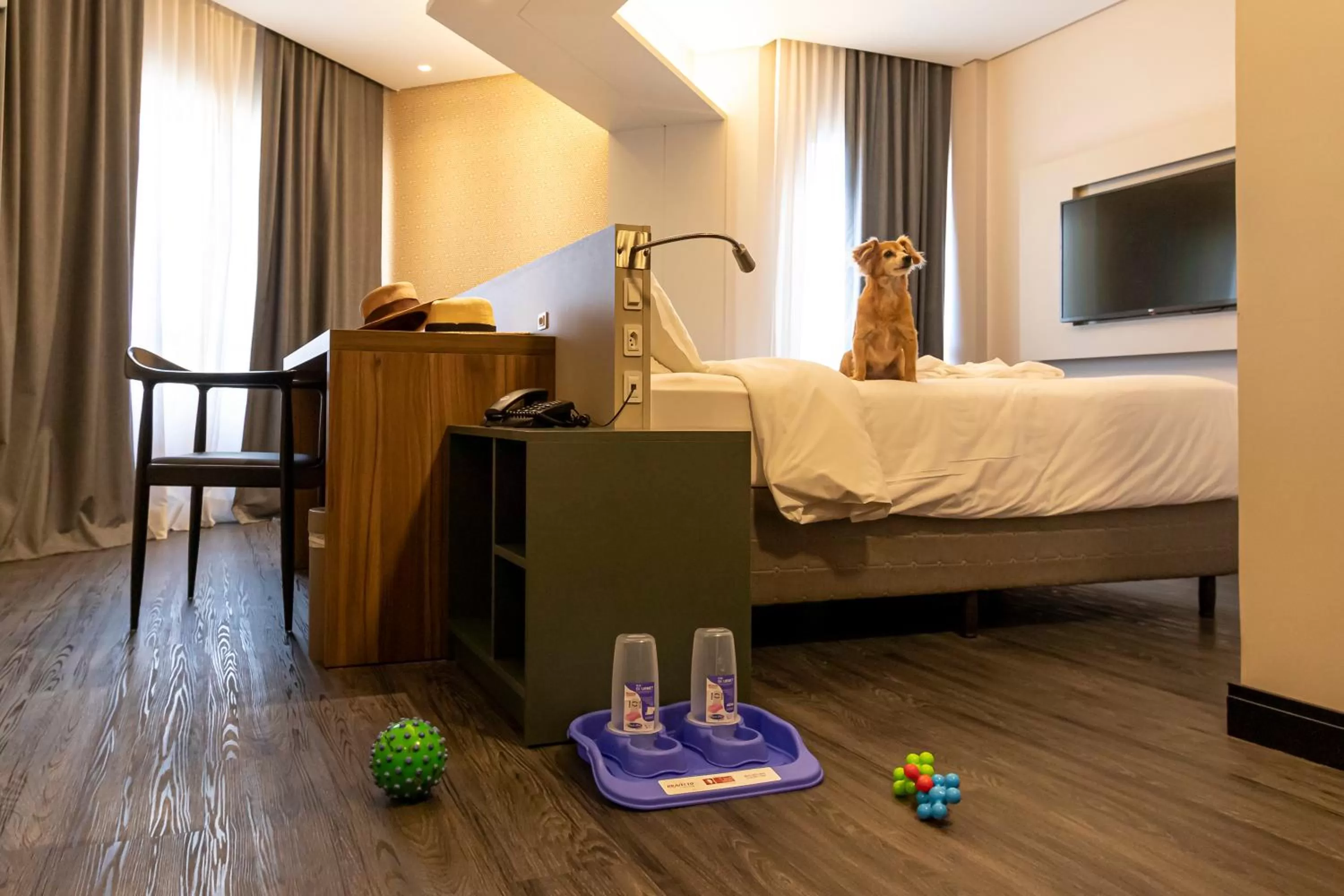 Pets, Bed in Mercure Florianópolis