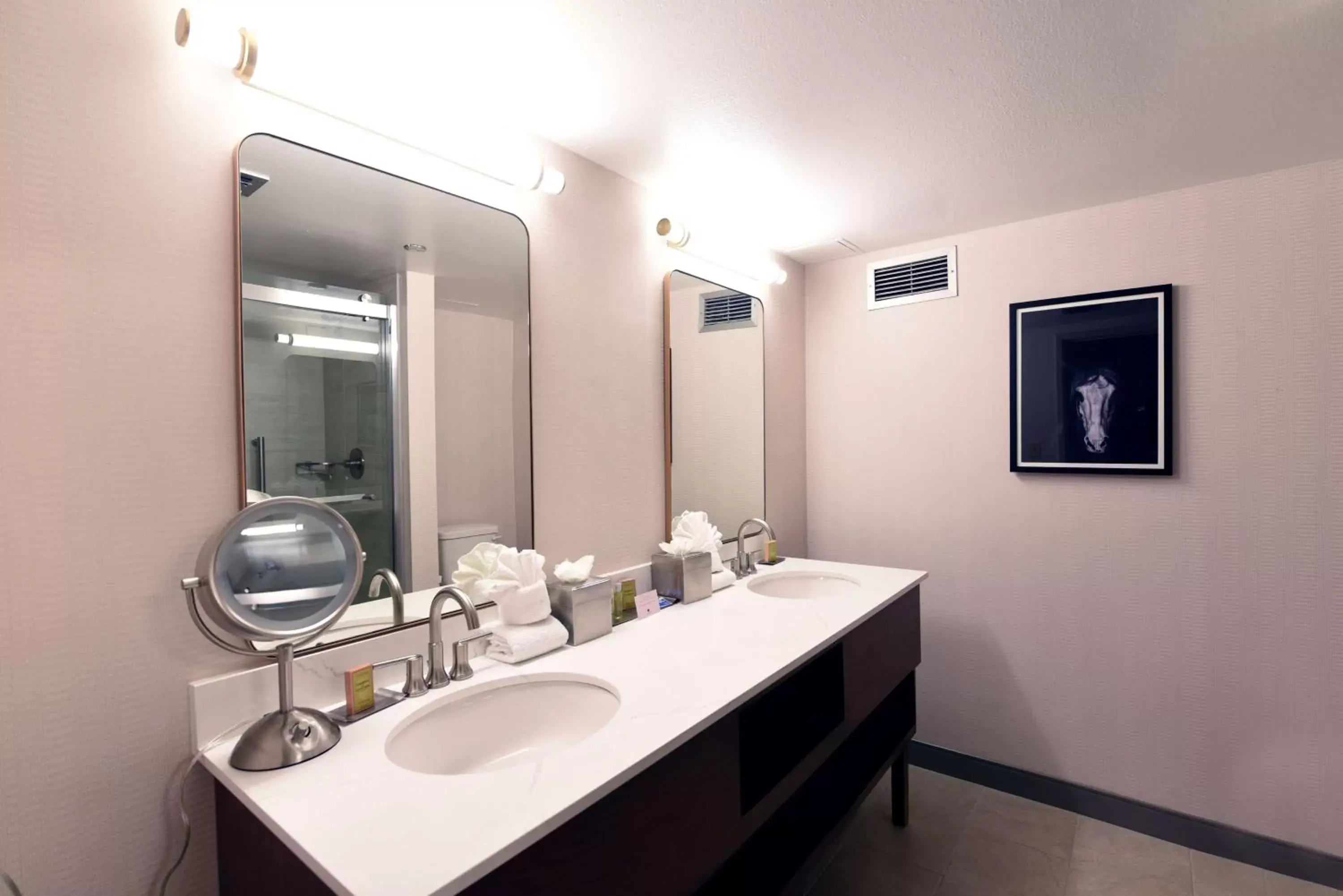 Bathroom in DoubleTree by Hilton Tucson-Reid Park