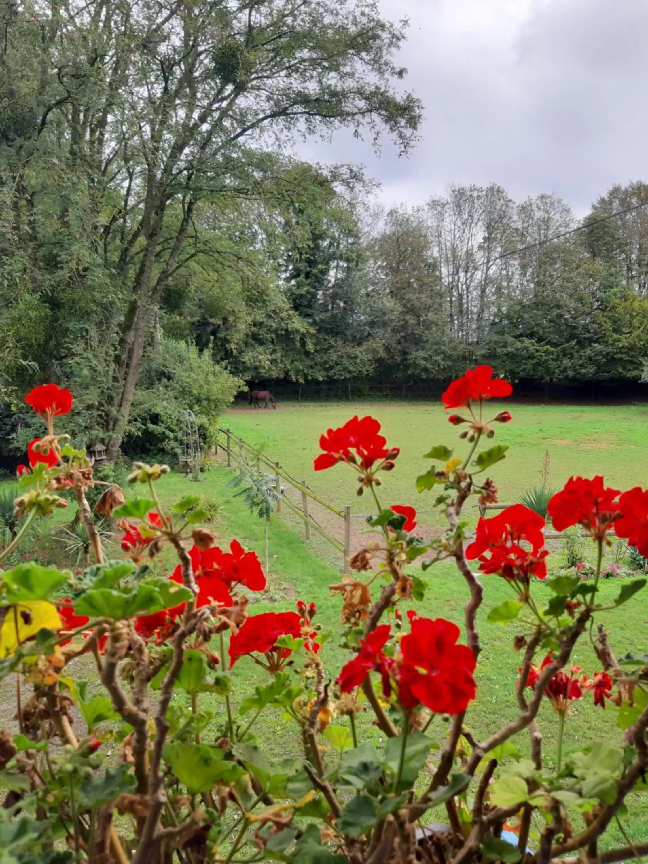 View (from property/room) in Manoir de la Peignie