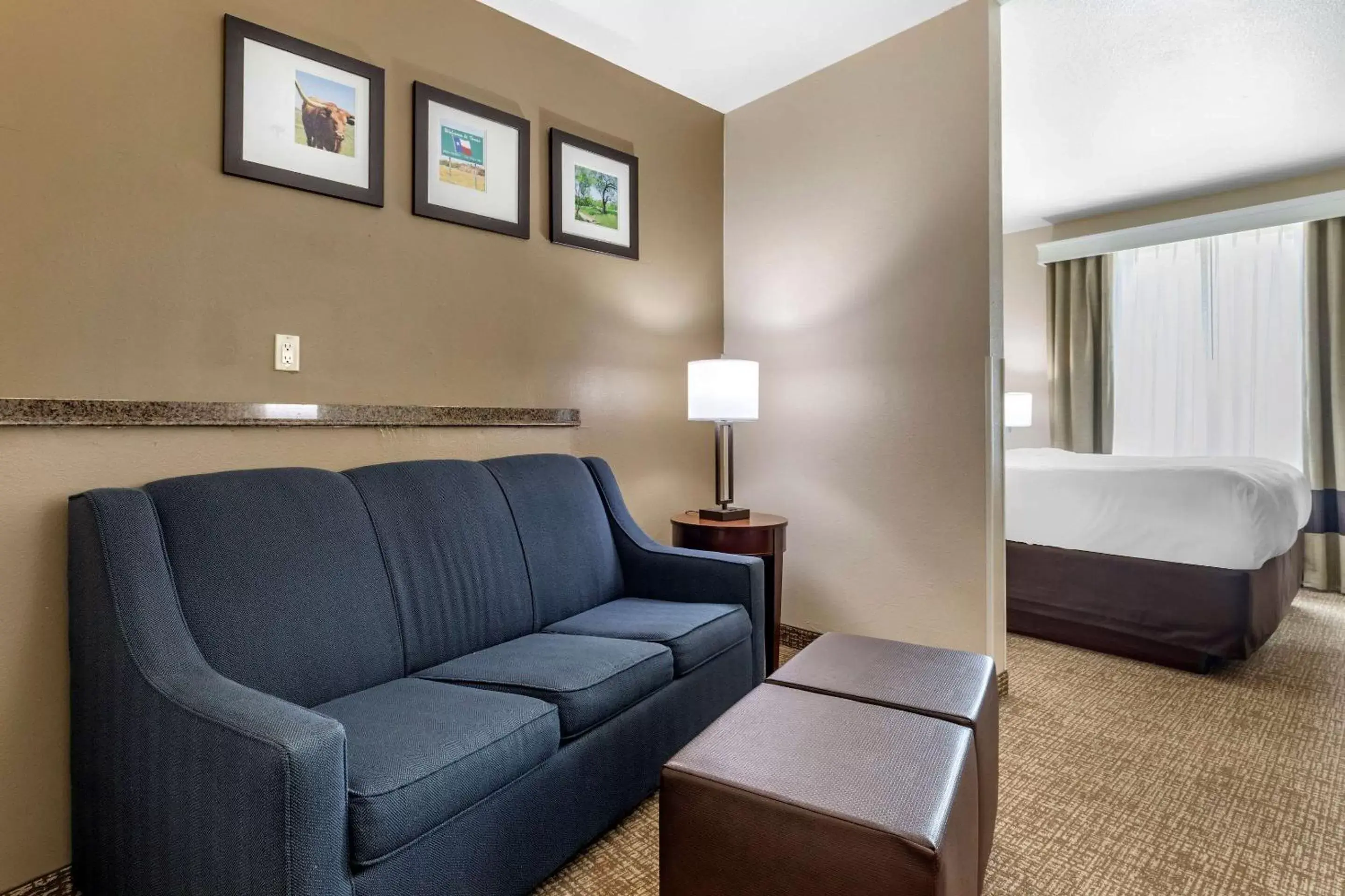Photo of the whole room, Seating Area in Comfort Suites Plano - Dallas North