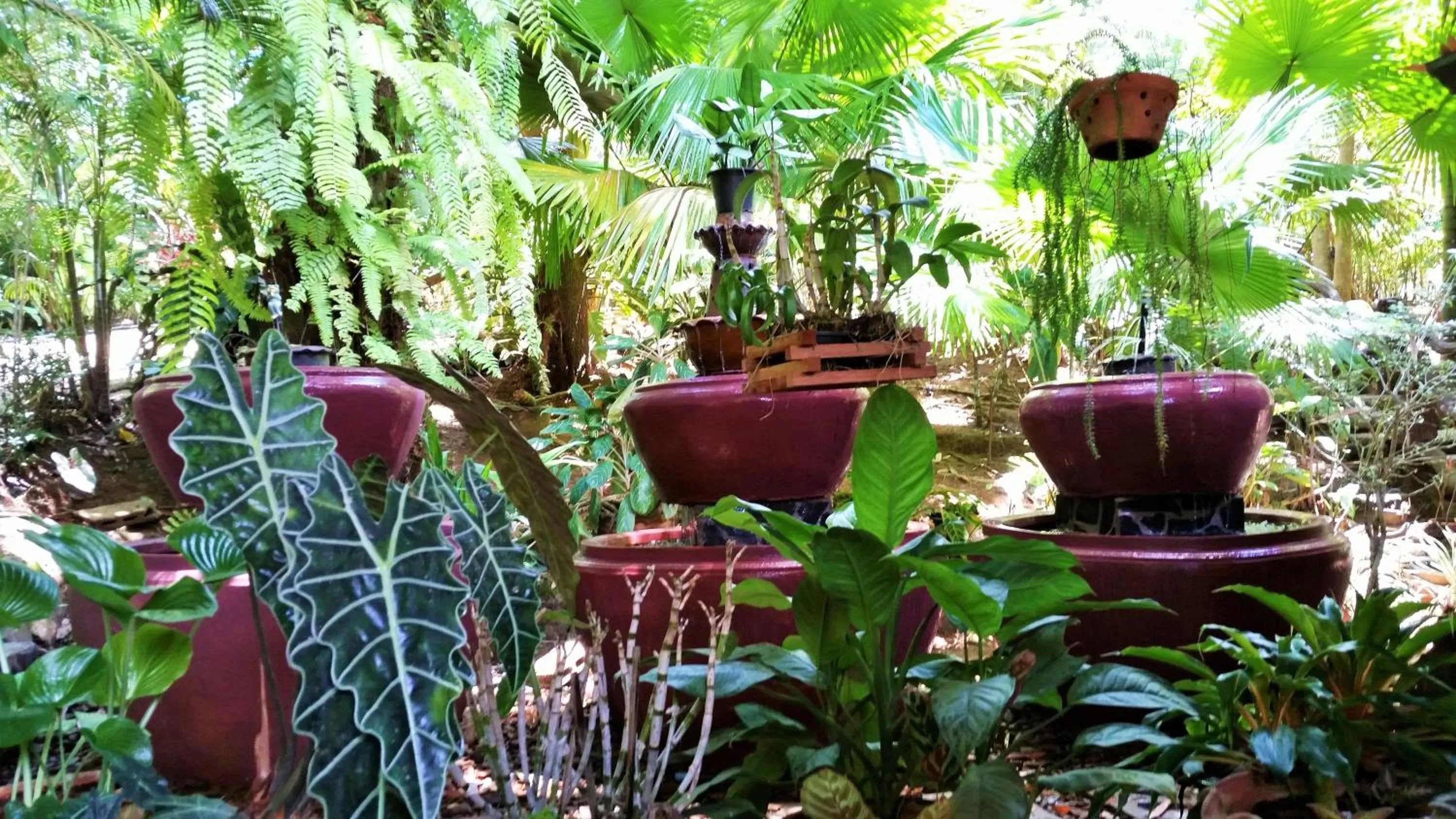 View (from property/room) in Khao Sok Las Orquideas Resort