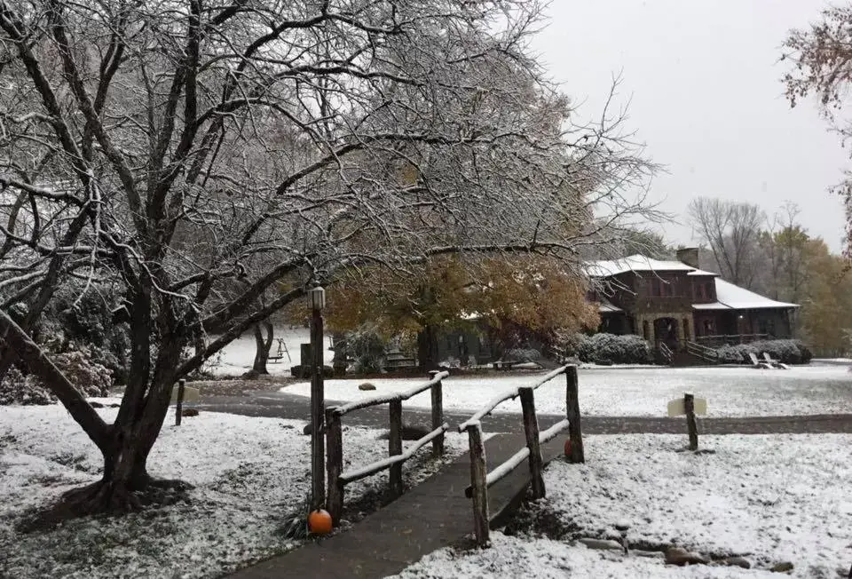 Winter in Laughing Heart Lodge