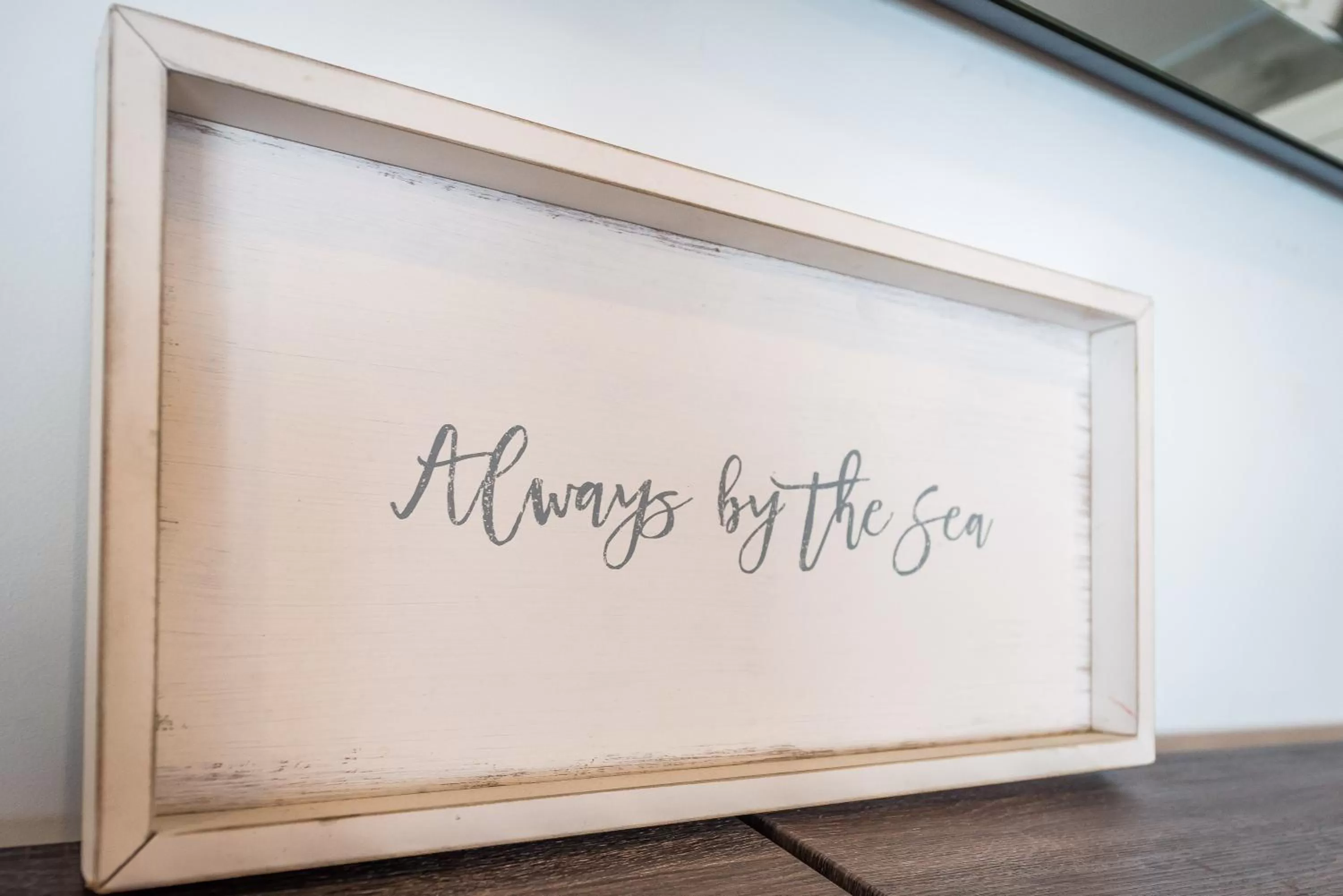 Area and facilities in Hotel Belleza