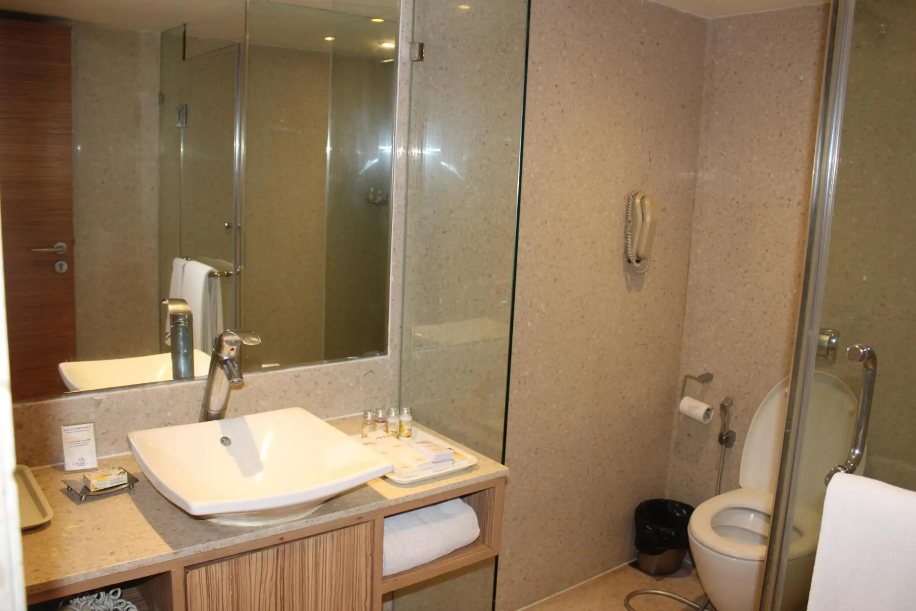 Bathroom in Pride Plaza Hotel, Ahmedabad