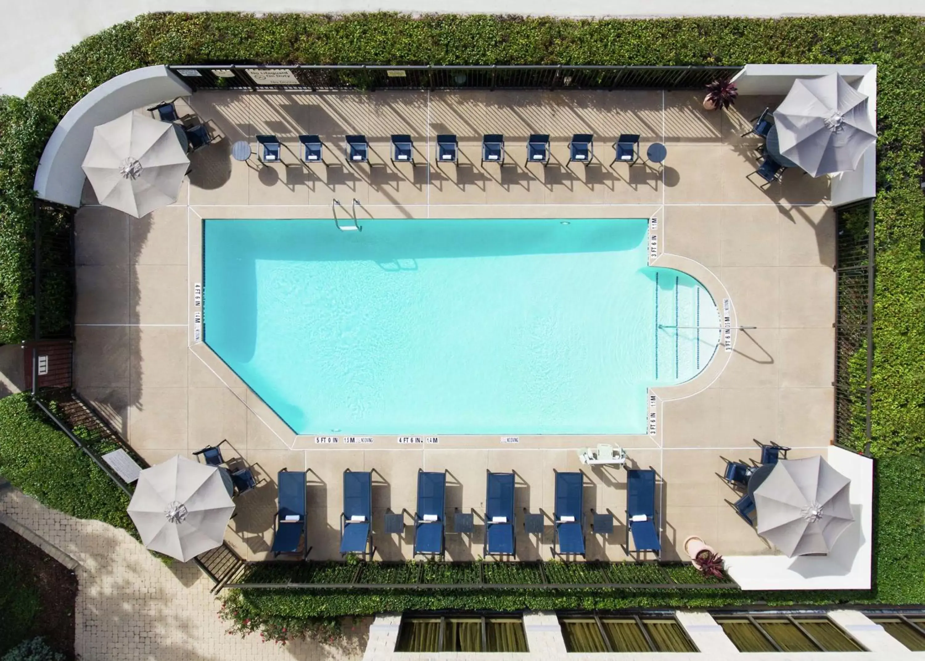 Pool View in Hampton Inn Dallas Irving Las Colinas
