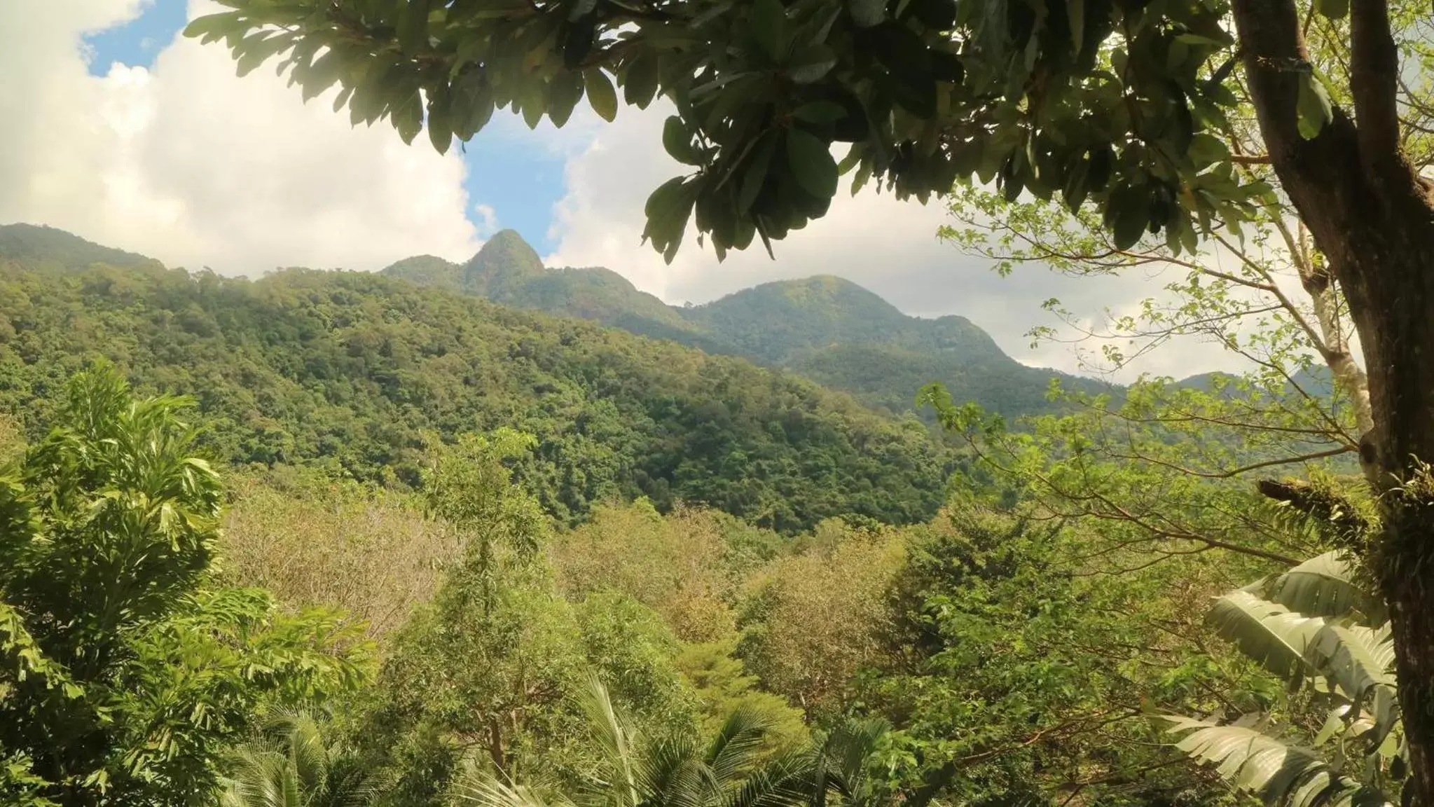 Mountain View in Island Lodge