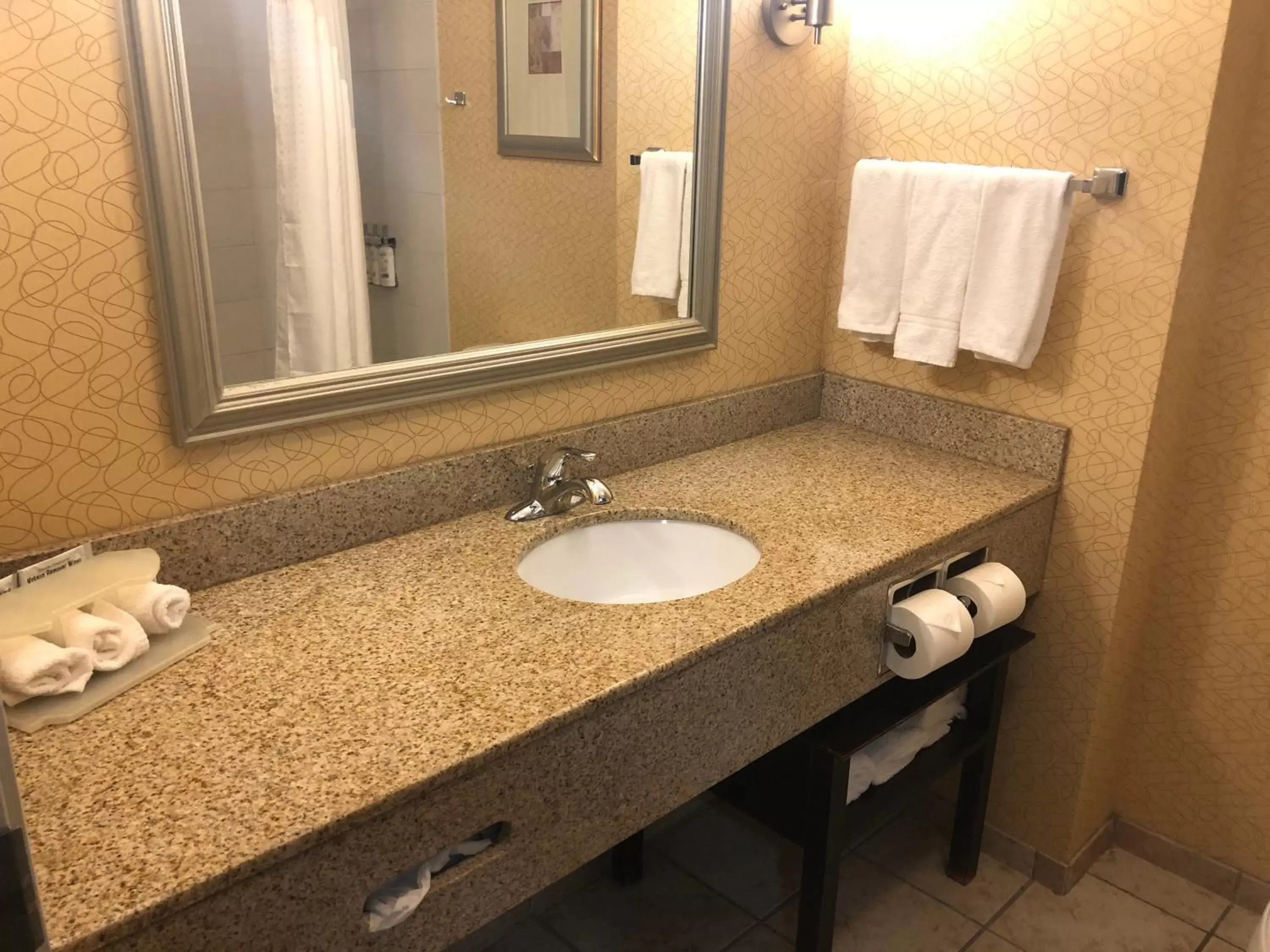 Bathroom in Holiday Inn Express Hotel & Suites Lansing-Dimondale, an IHG Hotel