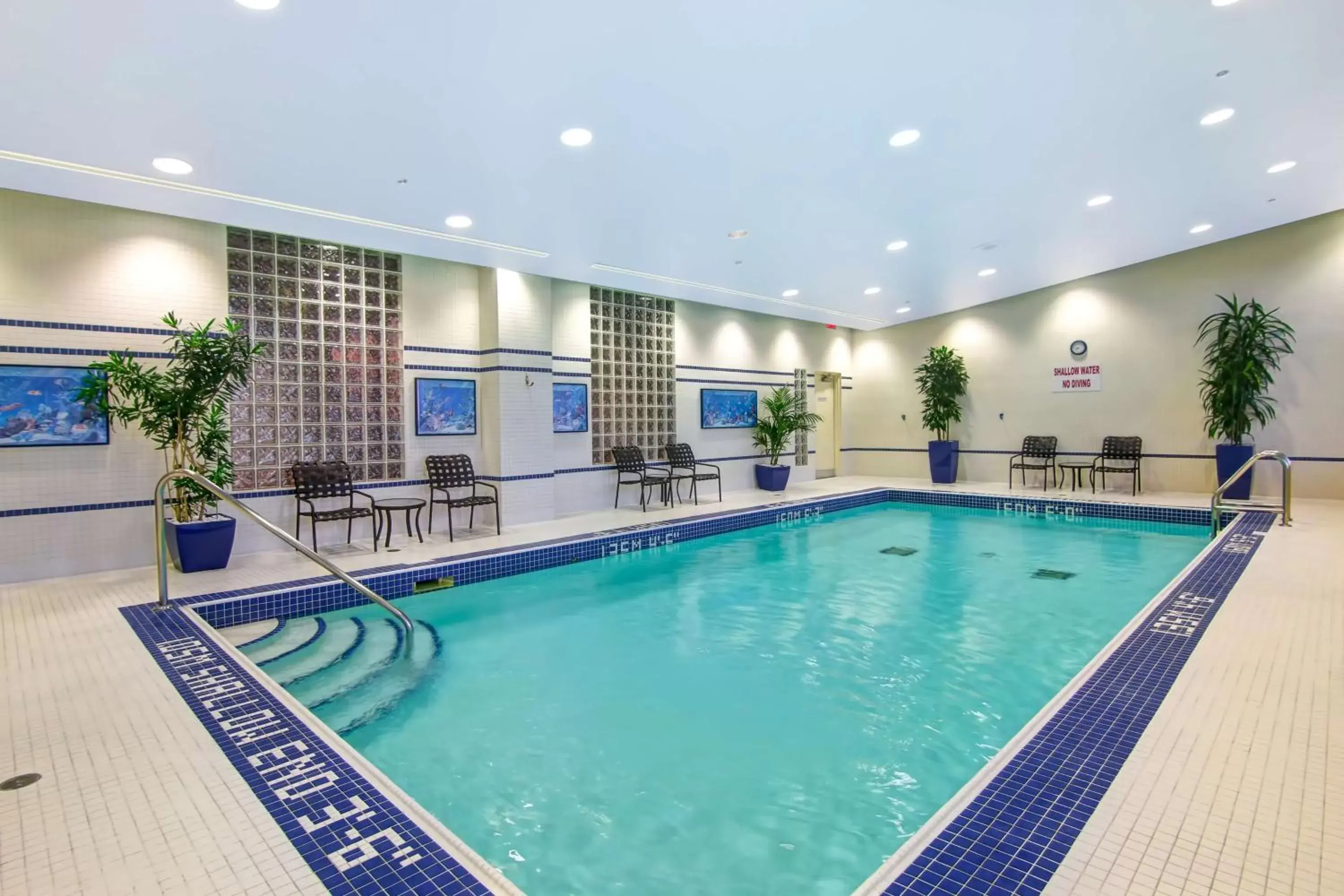 Pool view, Swimming Pool in Hilton Garden Inn Toronto/Markham