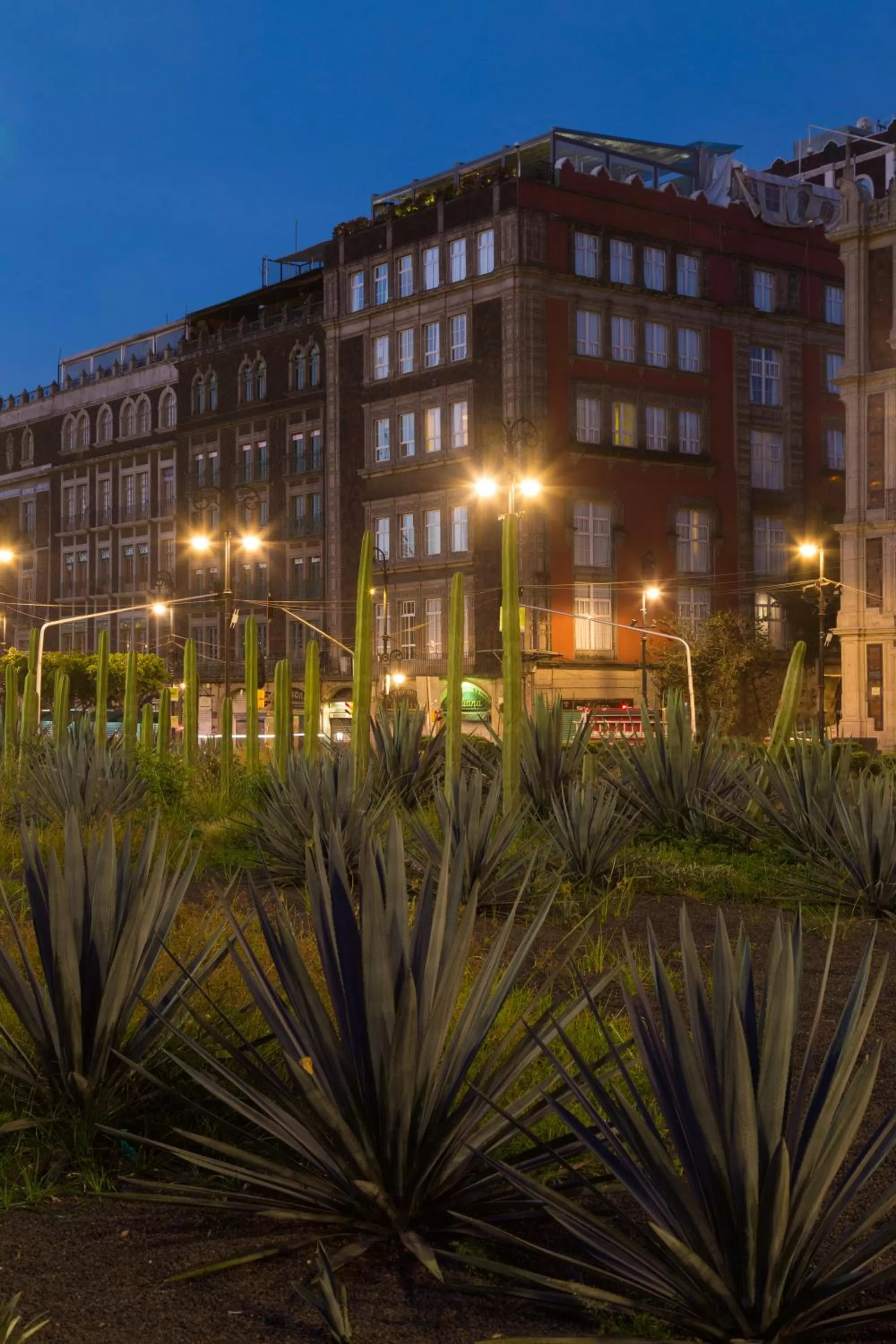 Neighbourhood in Zocalo Central & Rooftop Mexico City