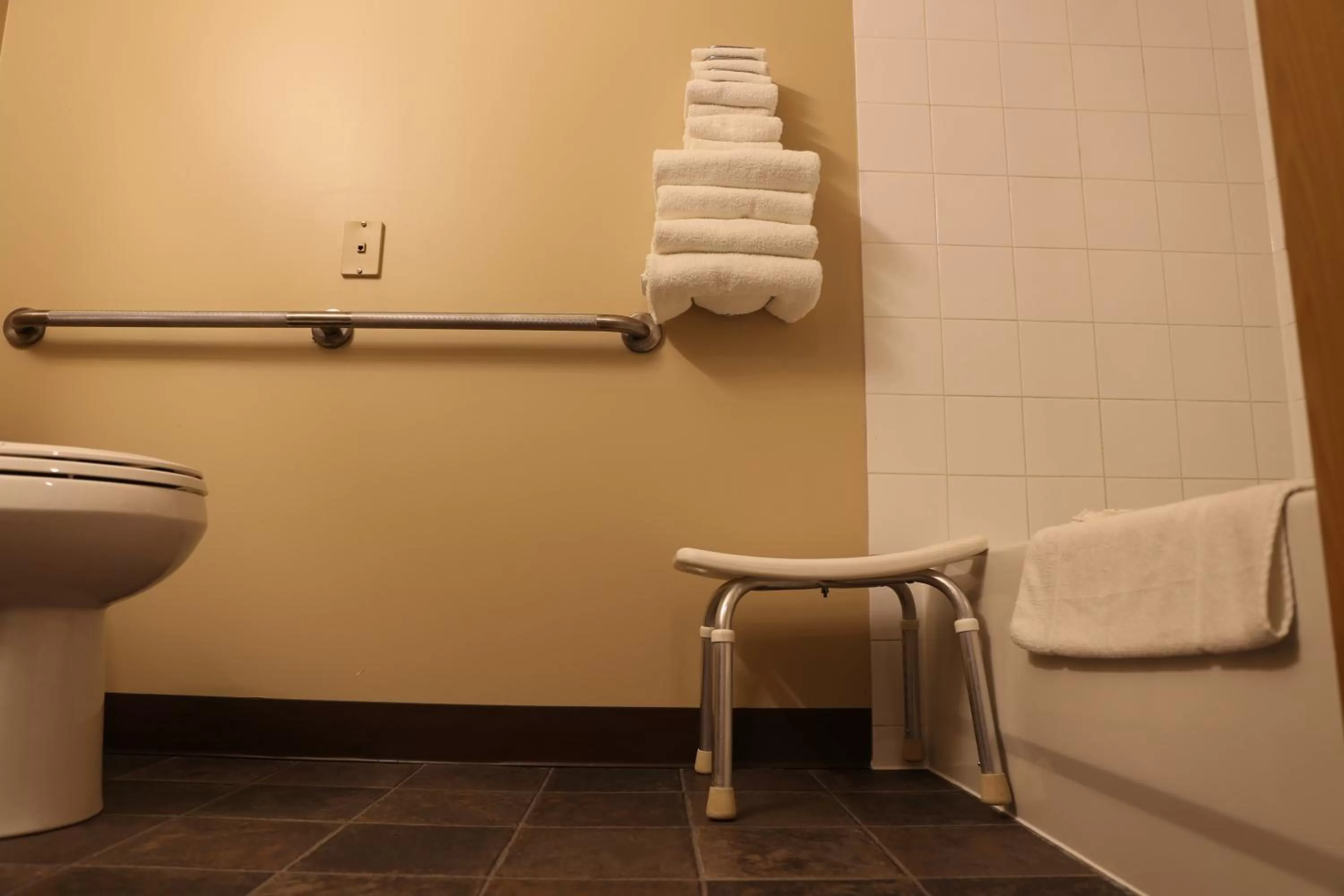 Facility for disabled guests, Bathroom in Didsbury Country Inn