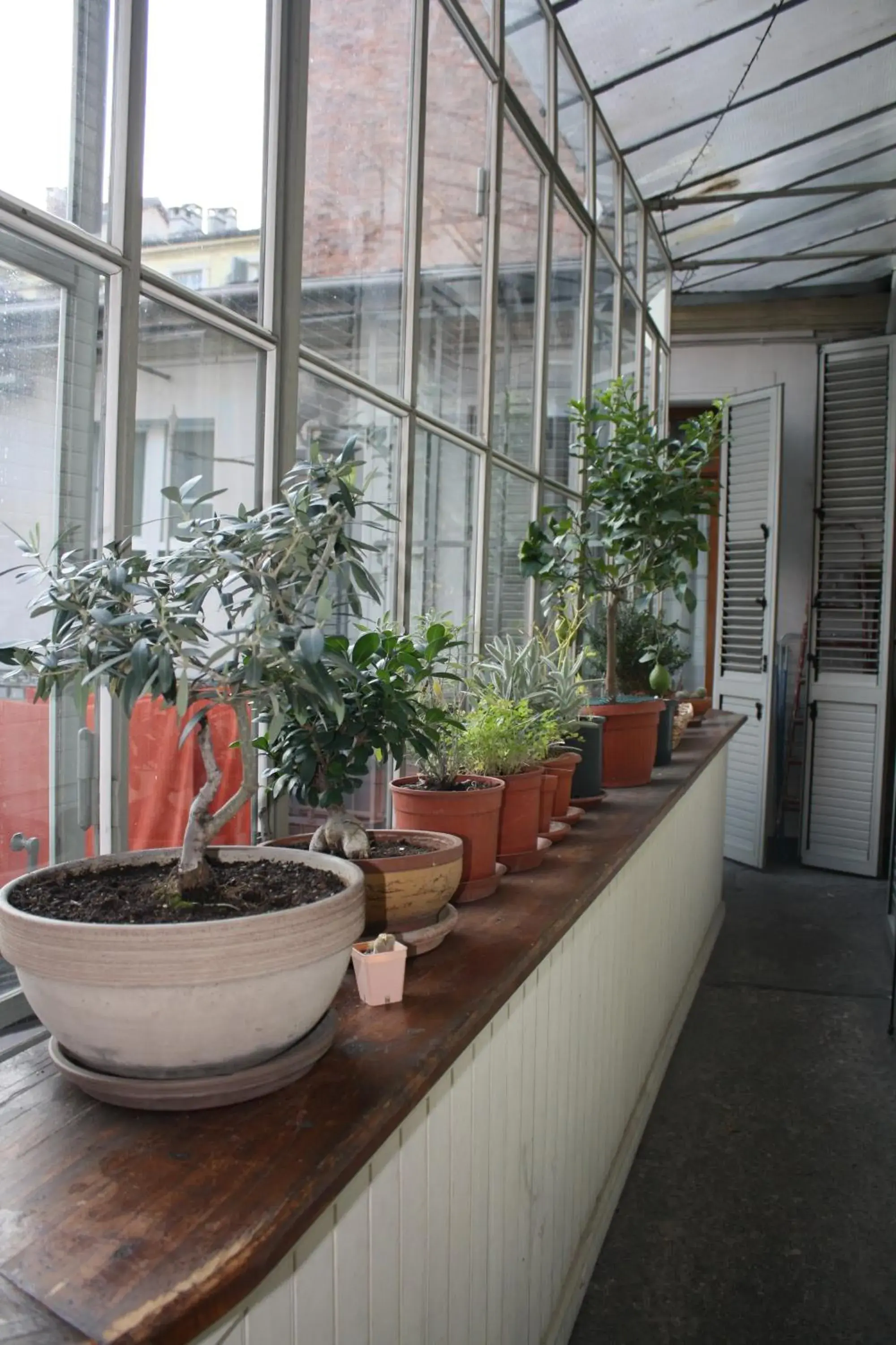 Balcony/Terrace in Albergo Avalon