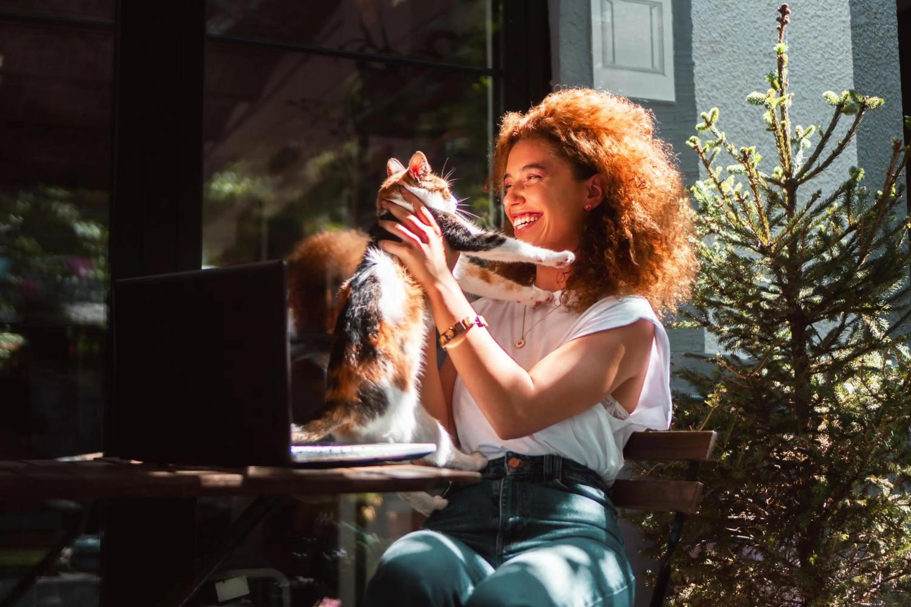 Garden in Good People Design Hostel