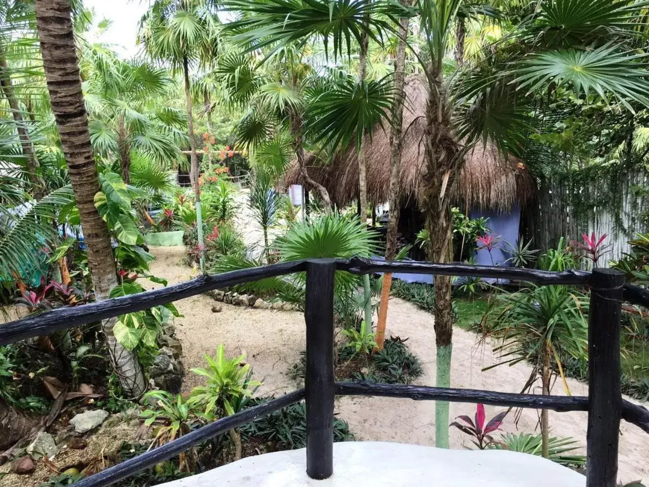 Garden view, Balcony/Terrace in Chancabañita Tulum