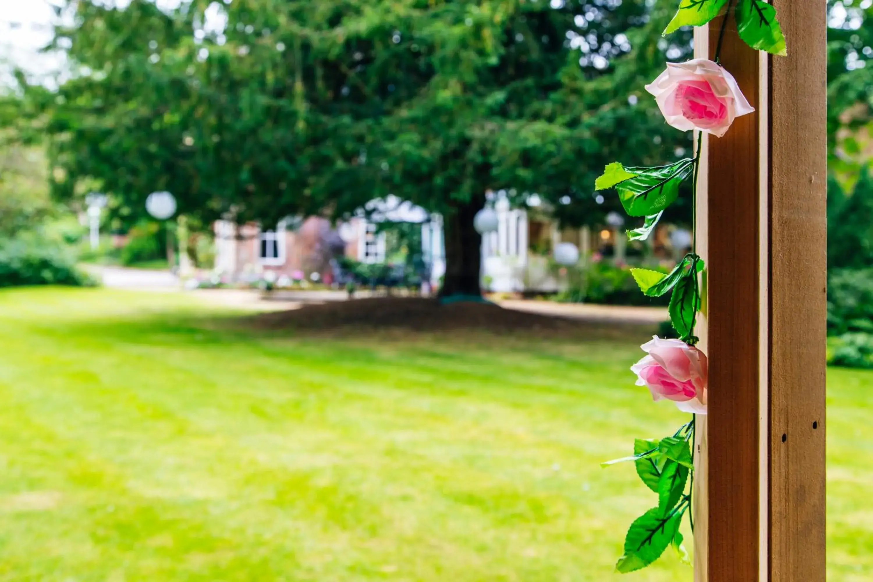 Natural landscape, Garden in Old Rectory House & Orangery Rooms