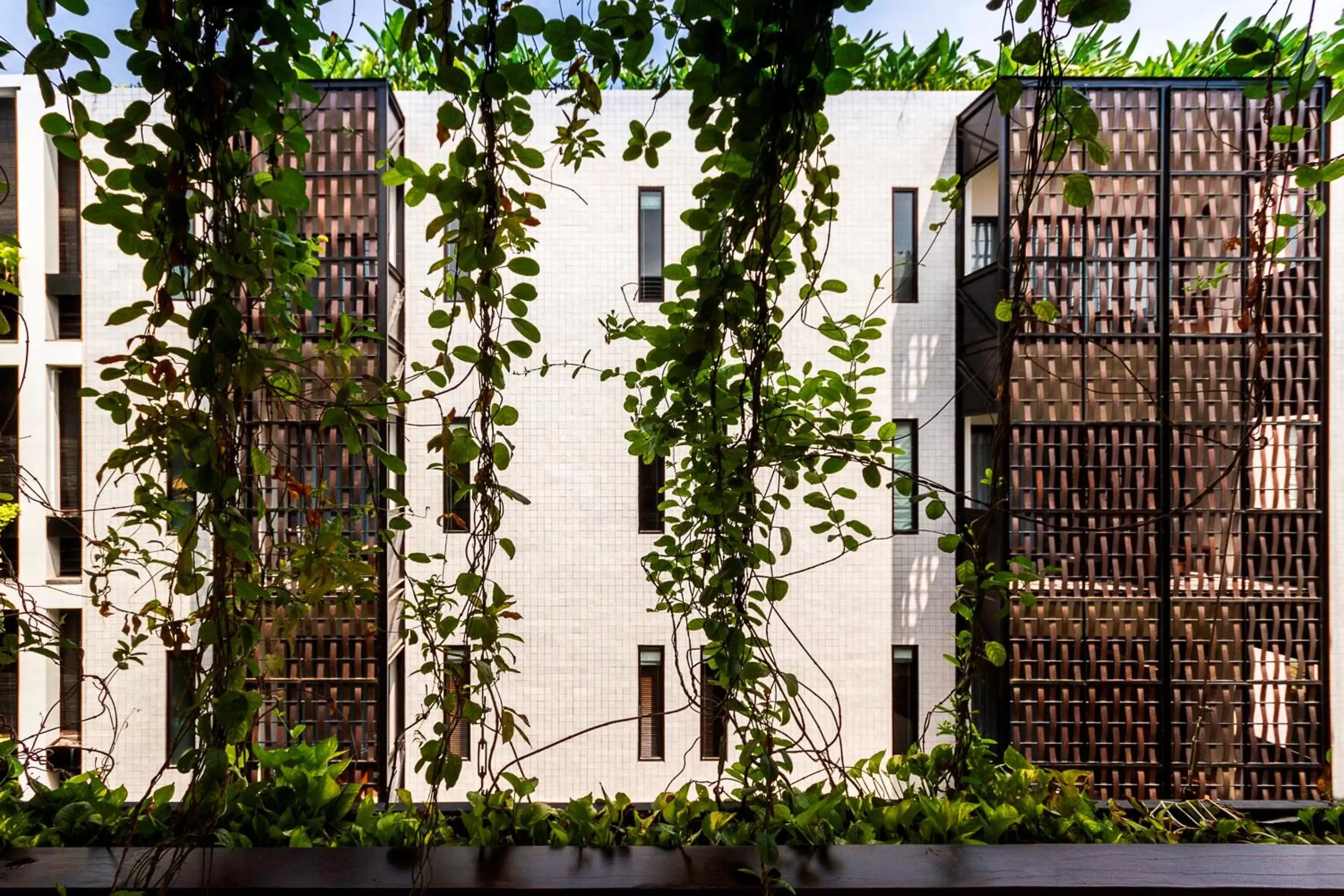 View (from property/room), Property Building in The Aviary Hotel