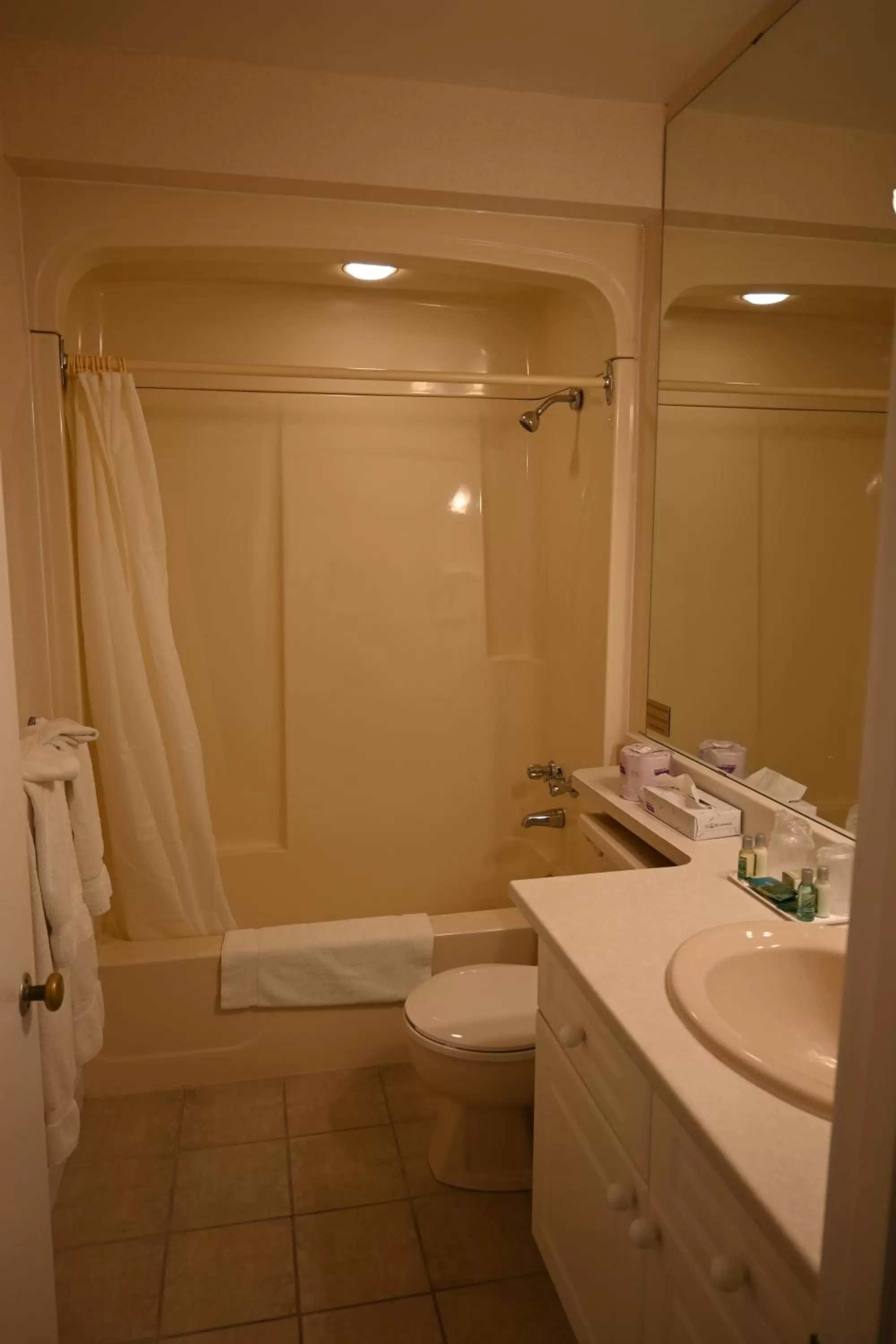 Bathroom in The Gananoque Inn