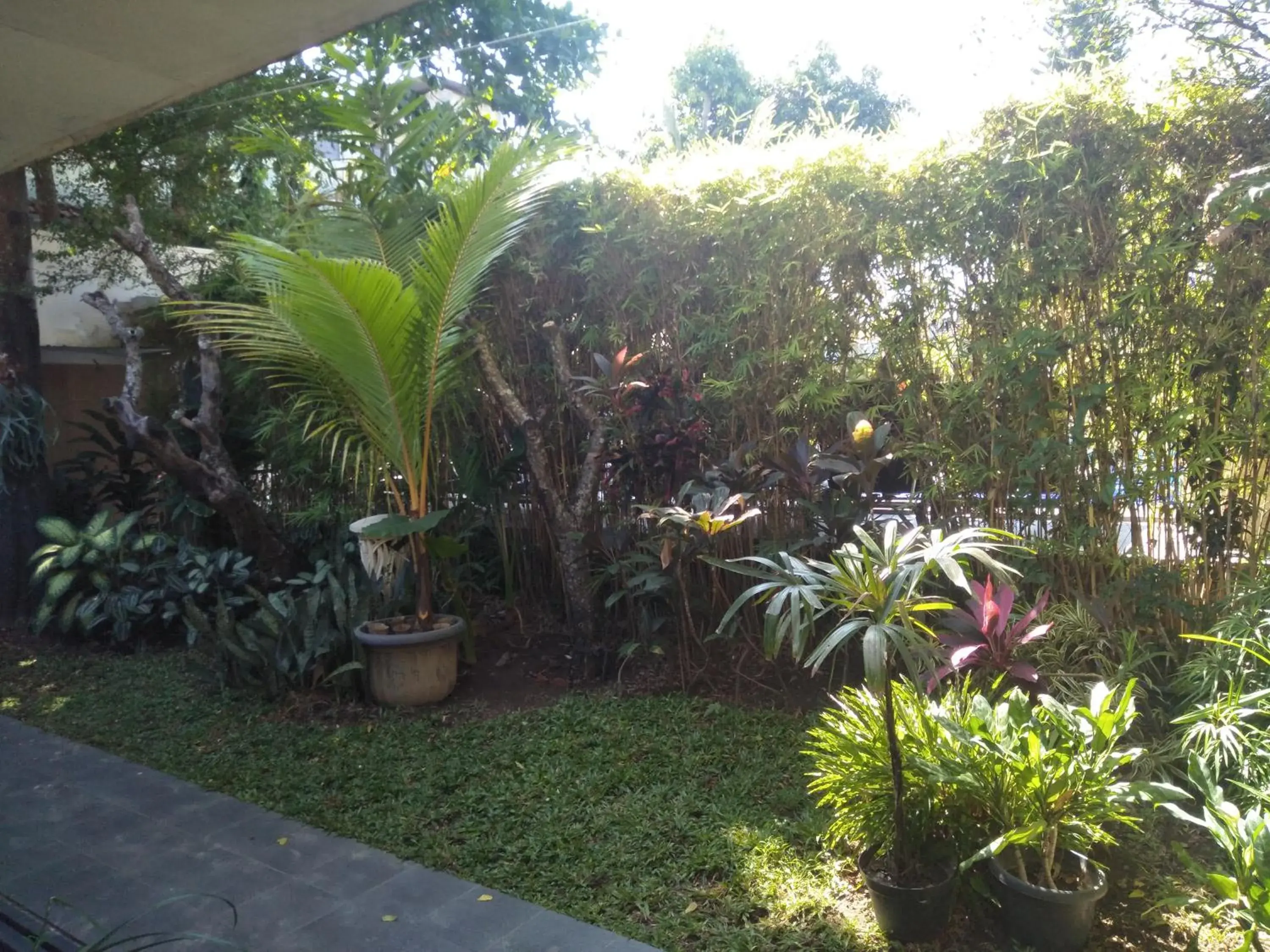 Property building, Garden in Hotel Grand Rosela Yogyakarta