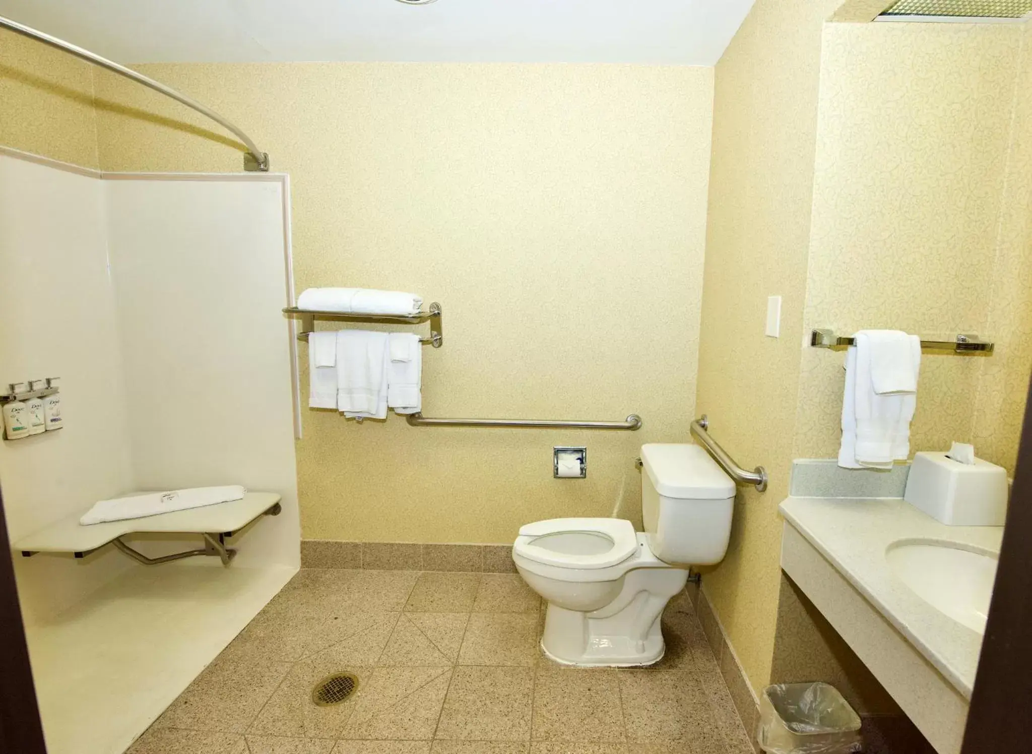 Photo of the whole room, Bathroom in Holiday Inn Express Hotel & Suites Fenton/I-44, an IHG Hotel