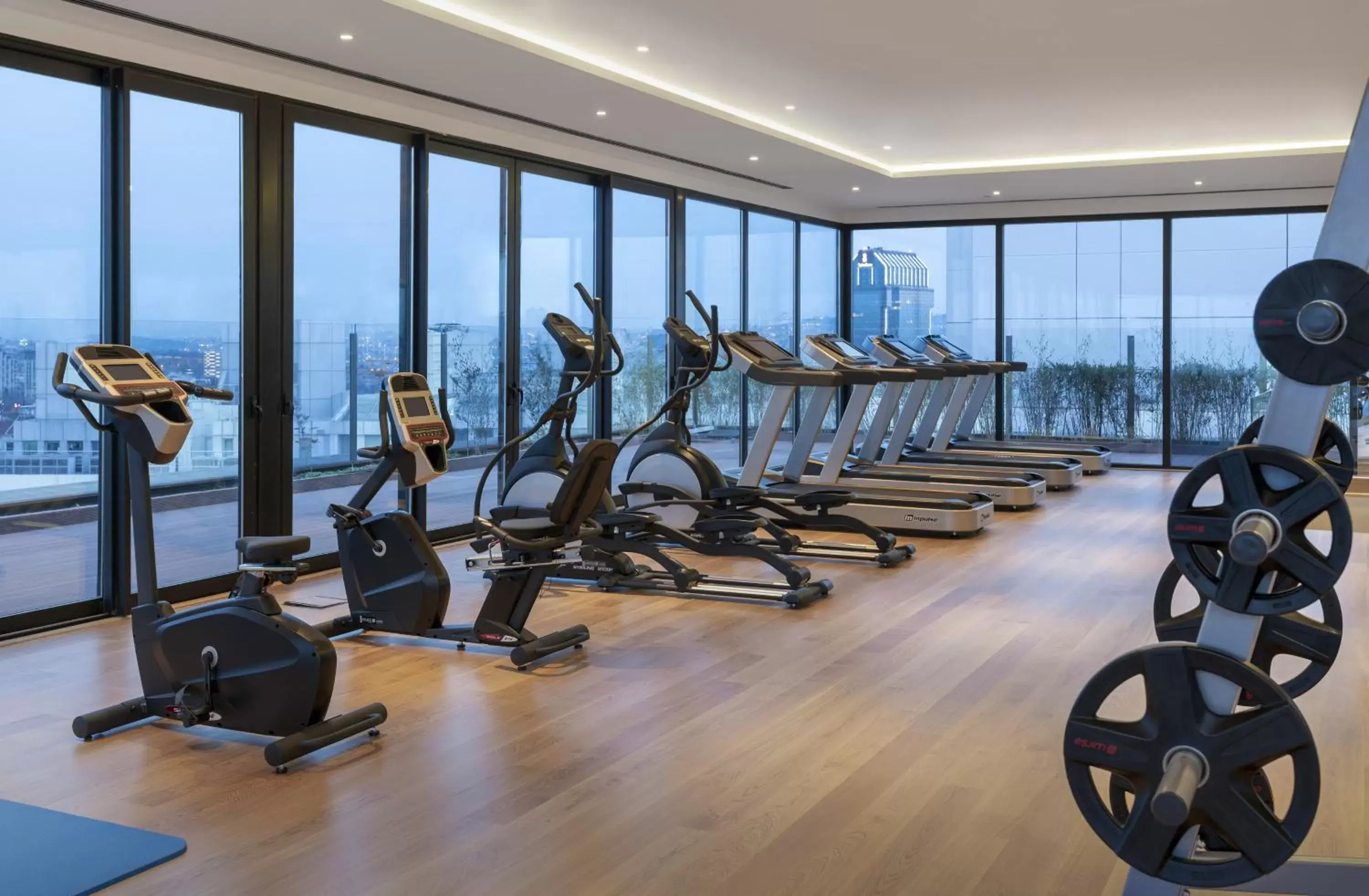 Fitness centre/facilities, Fitness Center/Facilities in Barceló Istanbul