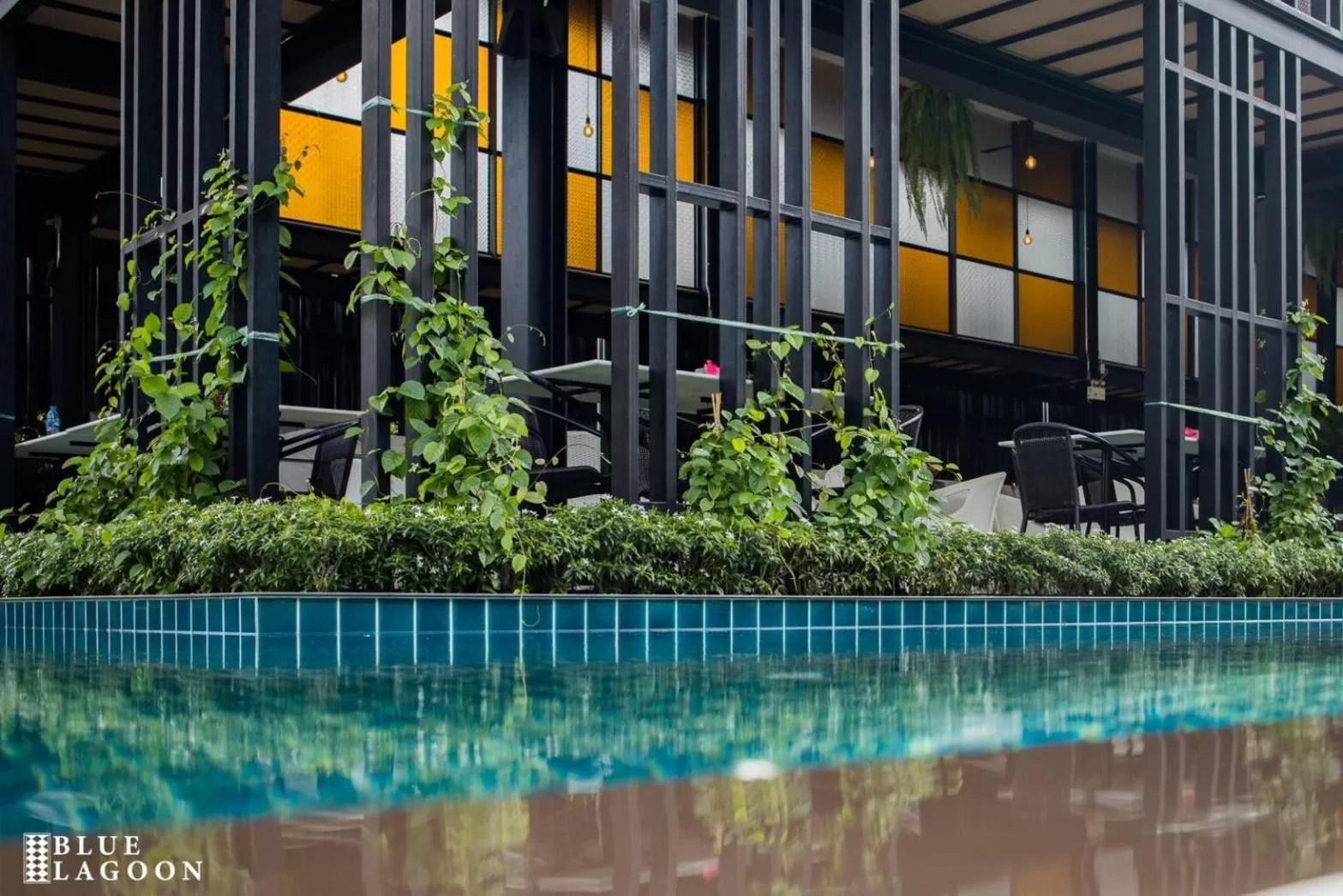 Garden view in Blue Lagoon Hotel