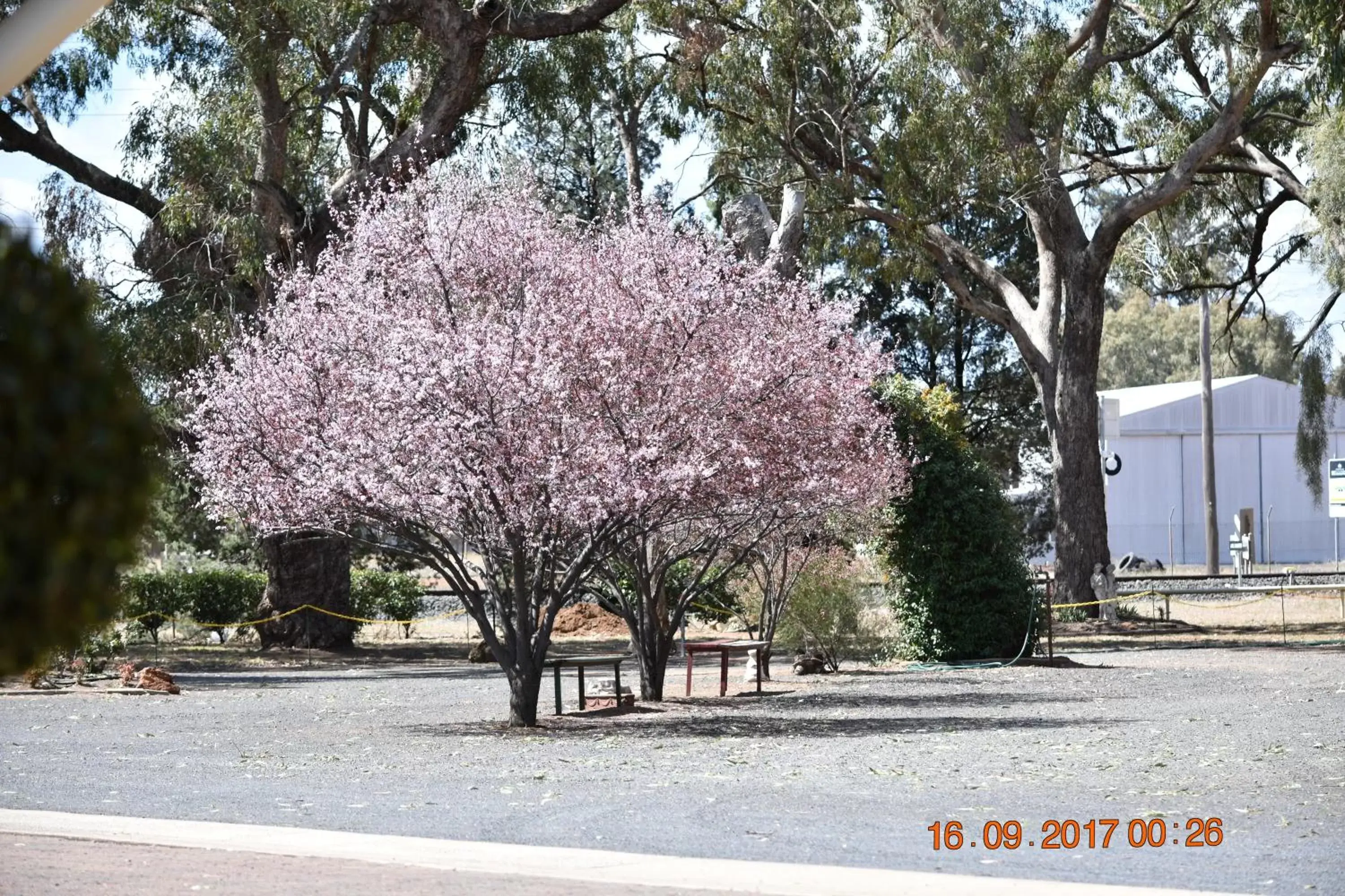 Garden view, Winter in Cooee Motel